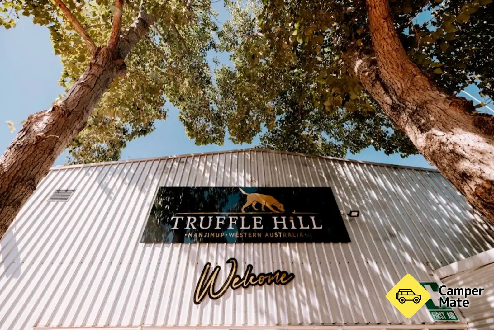 Truffle Experience with Truffle Hill - Image 3