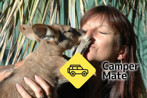Kangaroo Haven Wildlife Rescue