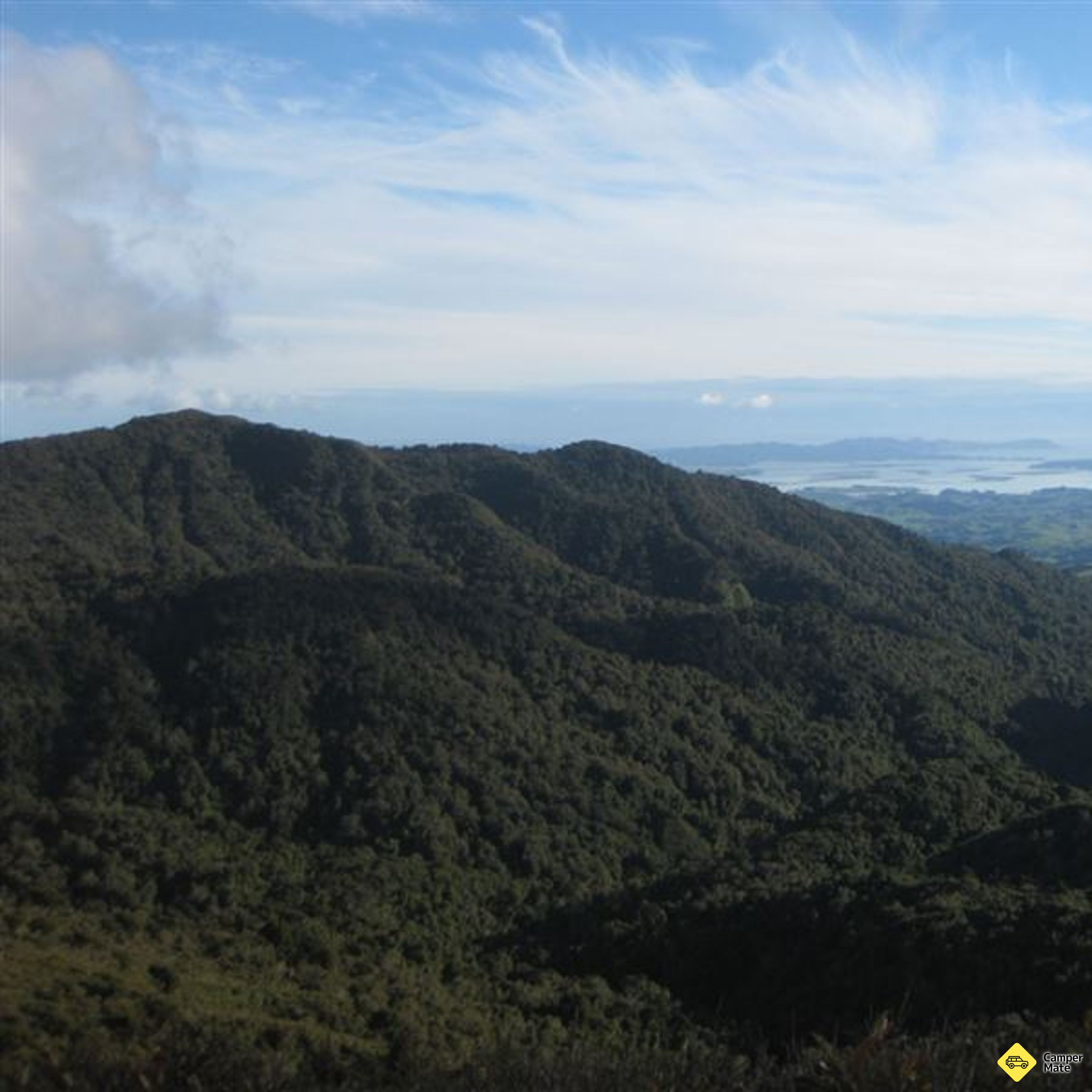 Hihikiwi spor - Image 2