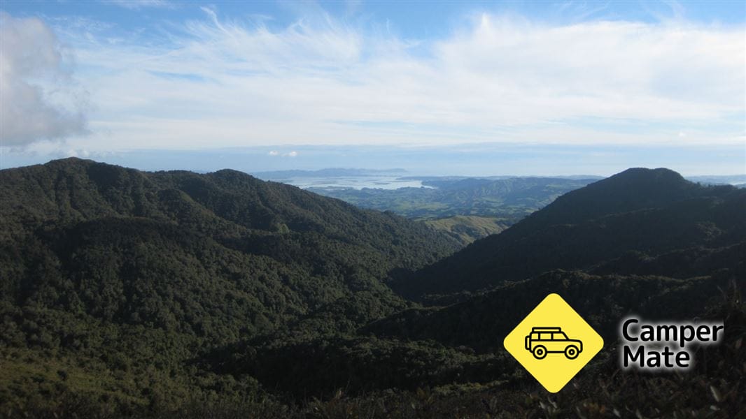 Hihikiwi Track - Image 2