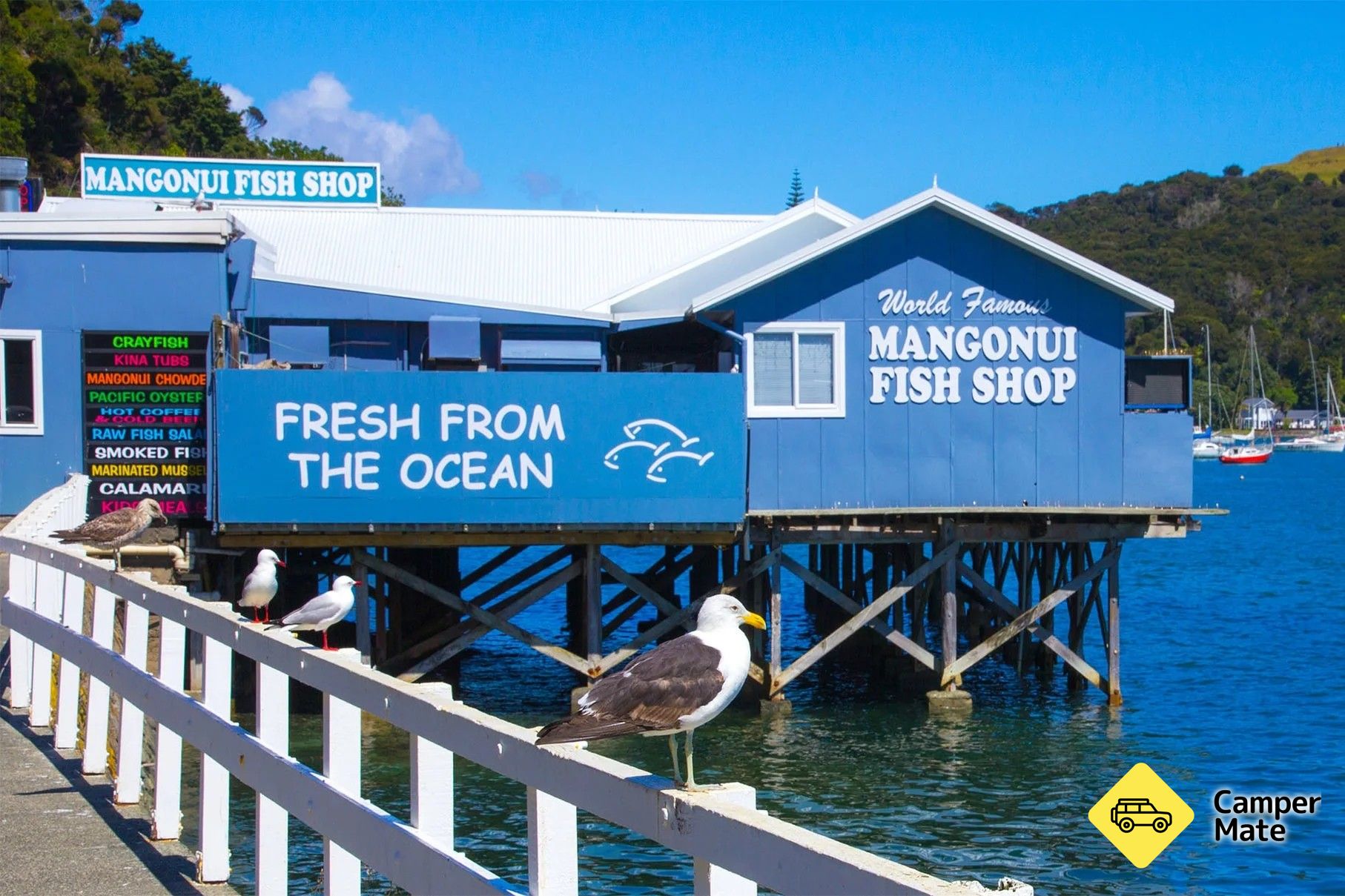 Mangonui Fish Shop