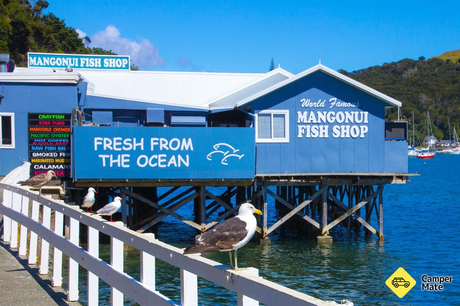 Mangonui Fish Shop