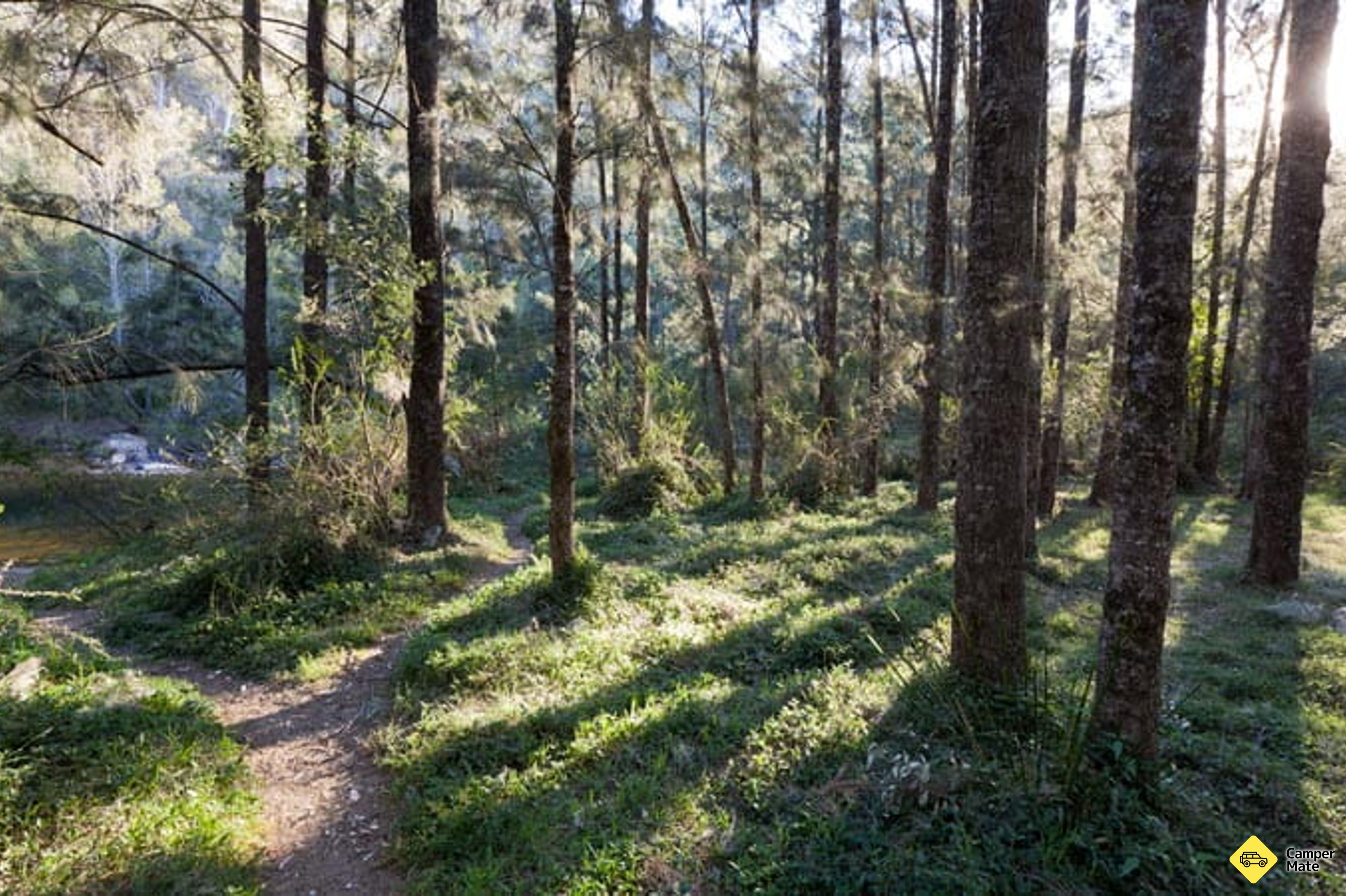 Deua River Campground