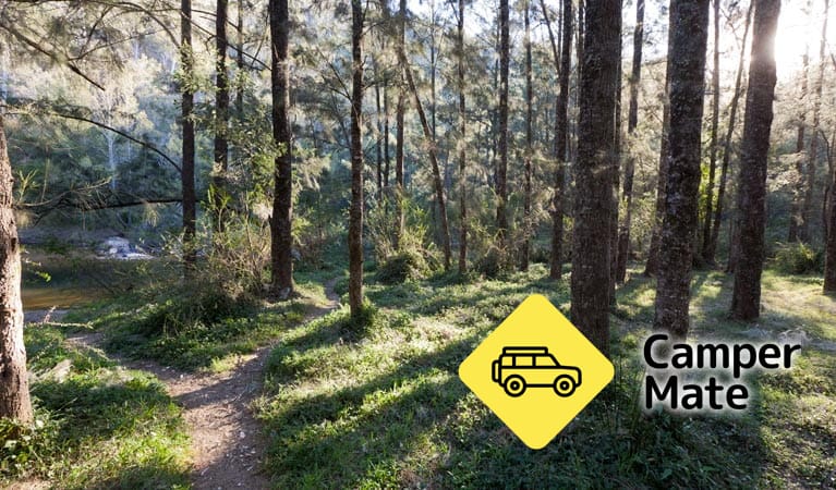 Deua River Campground