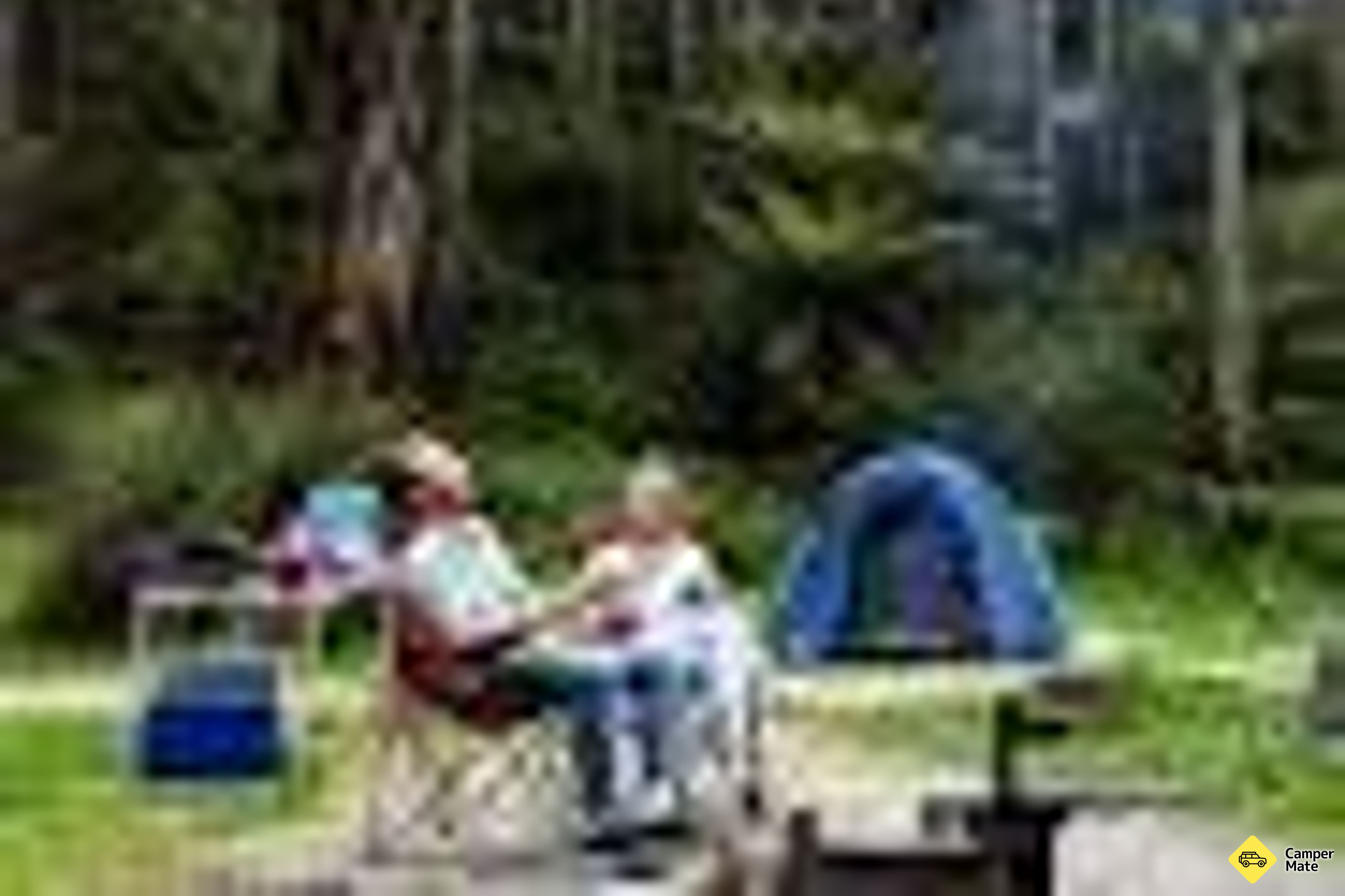 Wood wood riverside camping