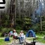 Wood wood riverside camping 