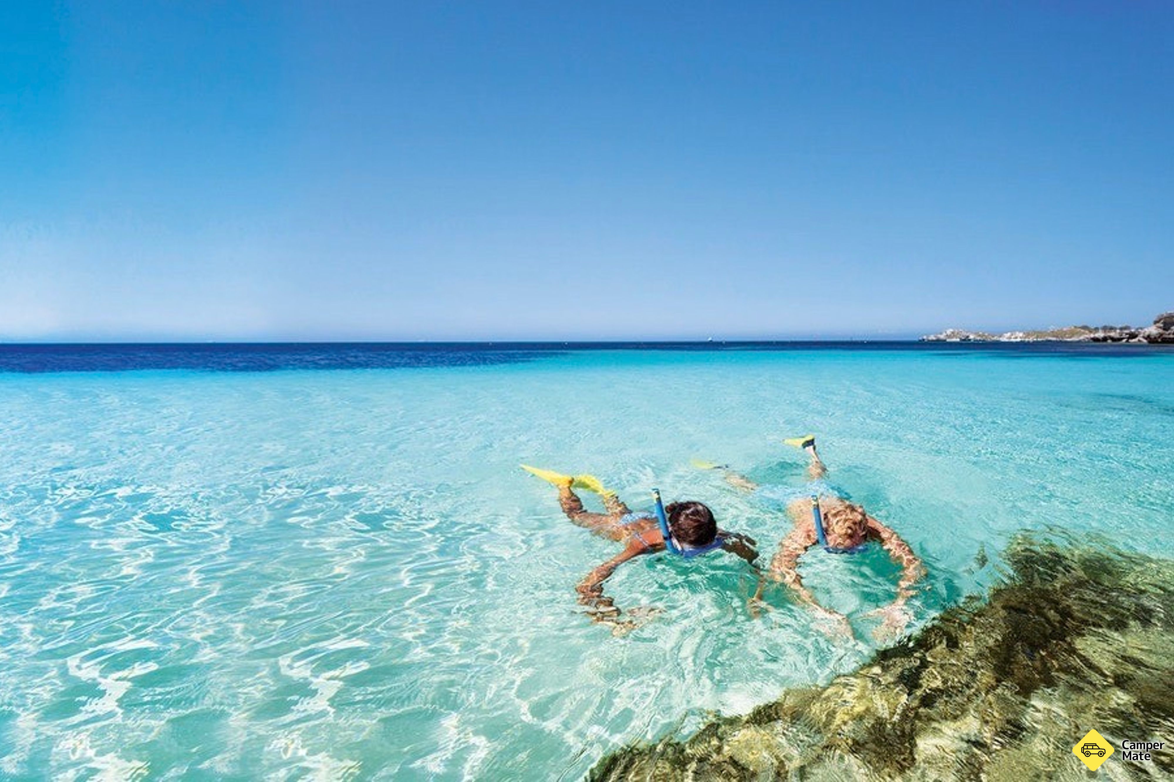Excursion d'une journée à Rottnest Island - Image 3