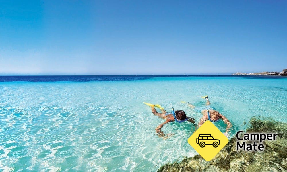 Rottnest Island Day Tour - Image 3