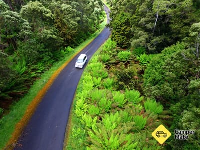 The Tarkine Drive