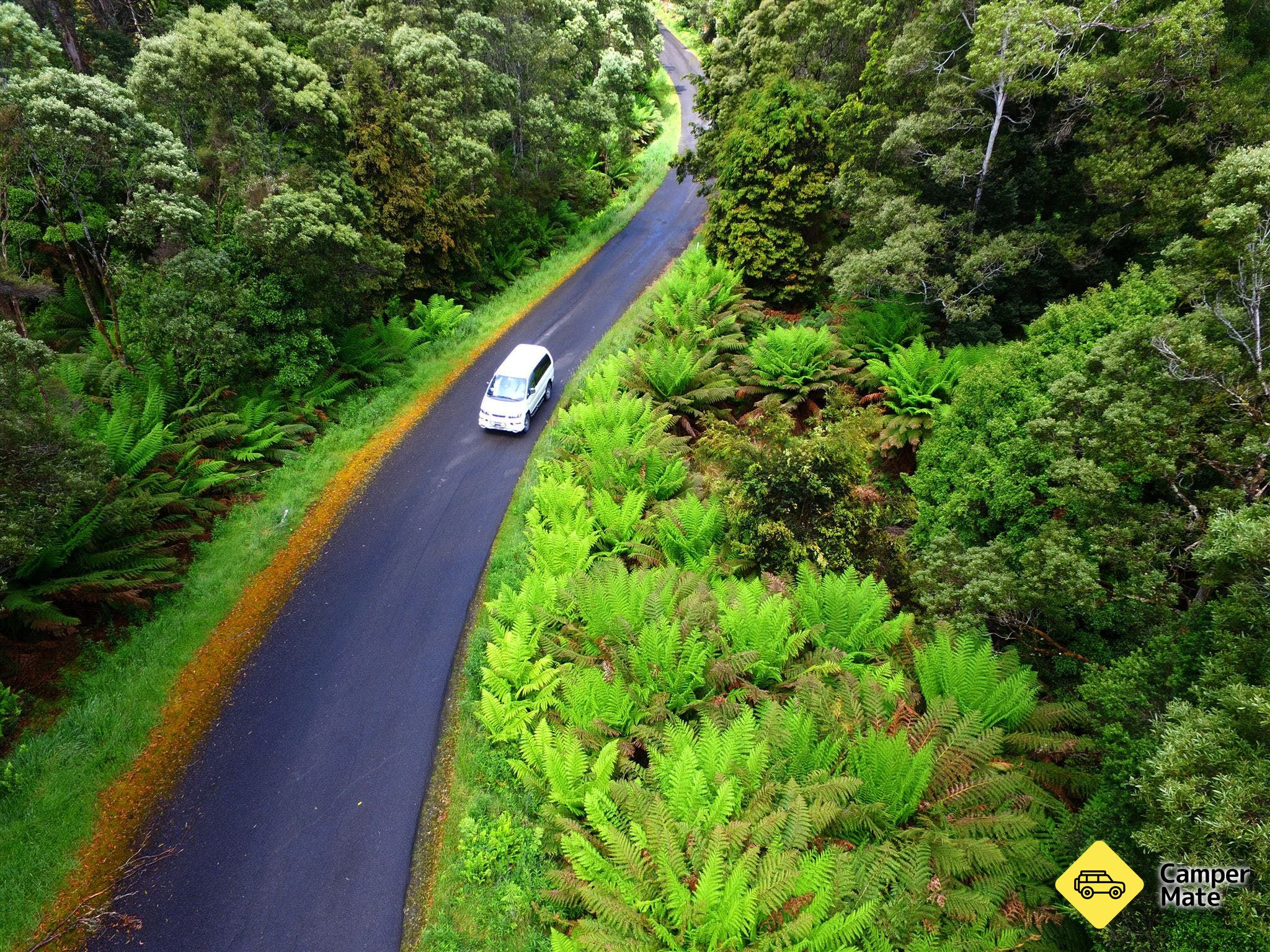 The Tarkine Drive