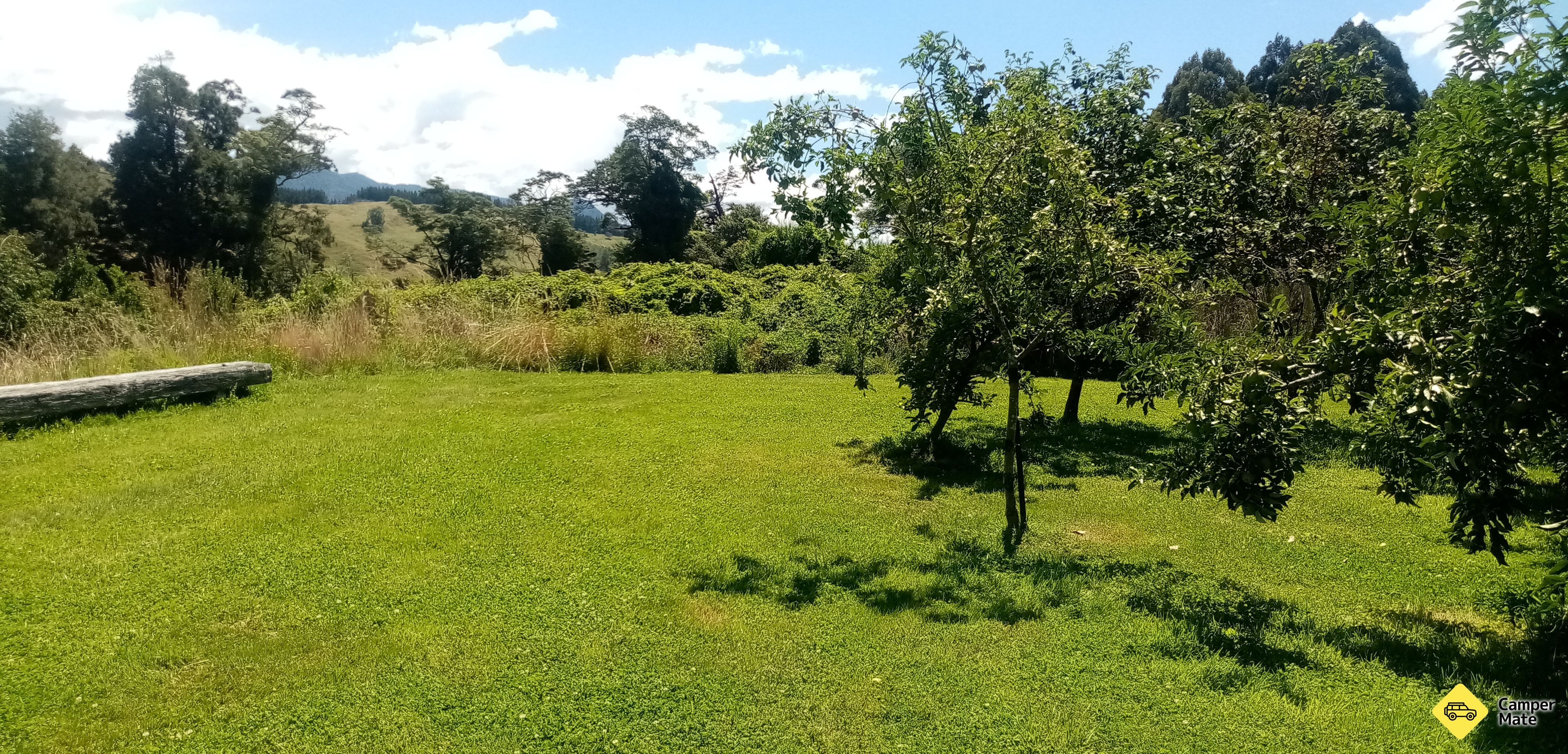 Tadmor Lodge & Camp