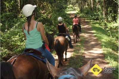 Mary Valley Adventure Trails - Guided Horse Riding