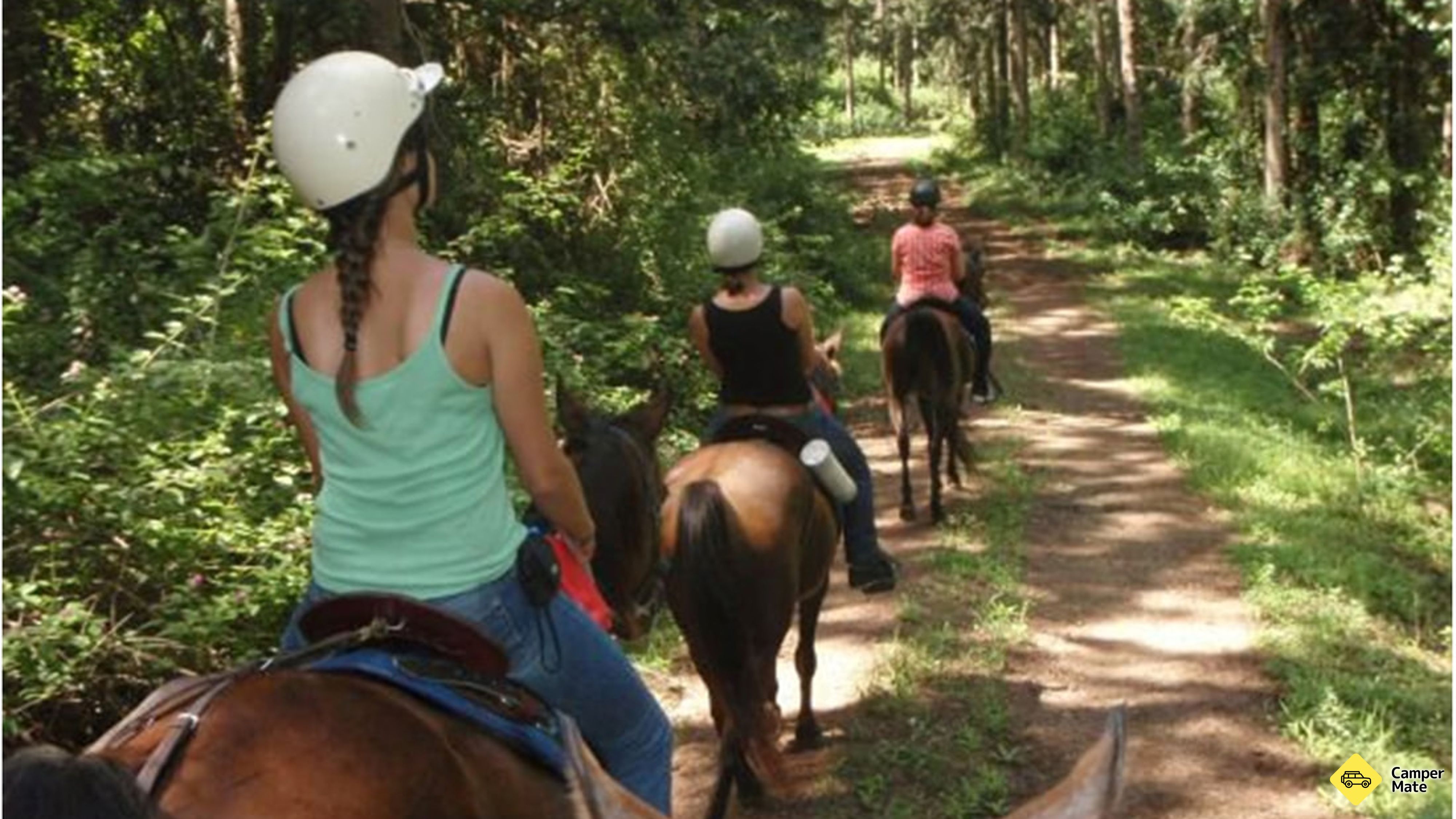 Atrakcje w pobliżu Mary Valley Adventure Trails - Guided Horse Riding