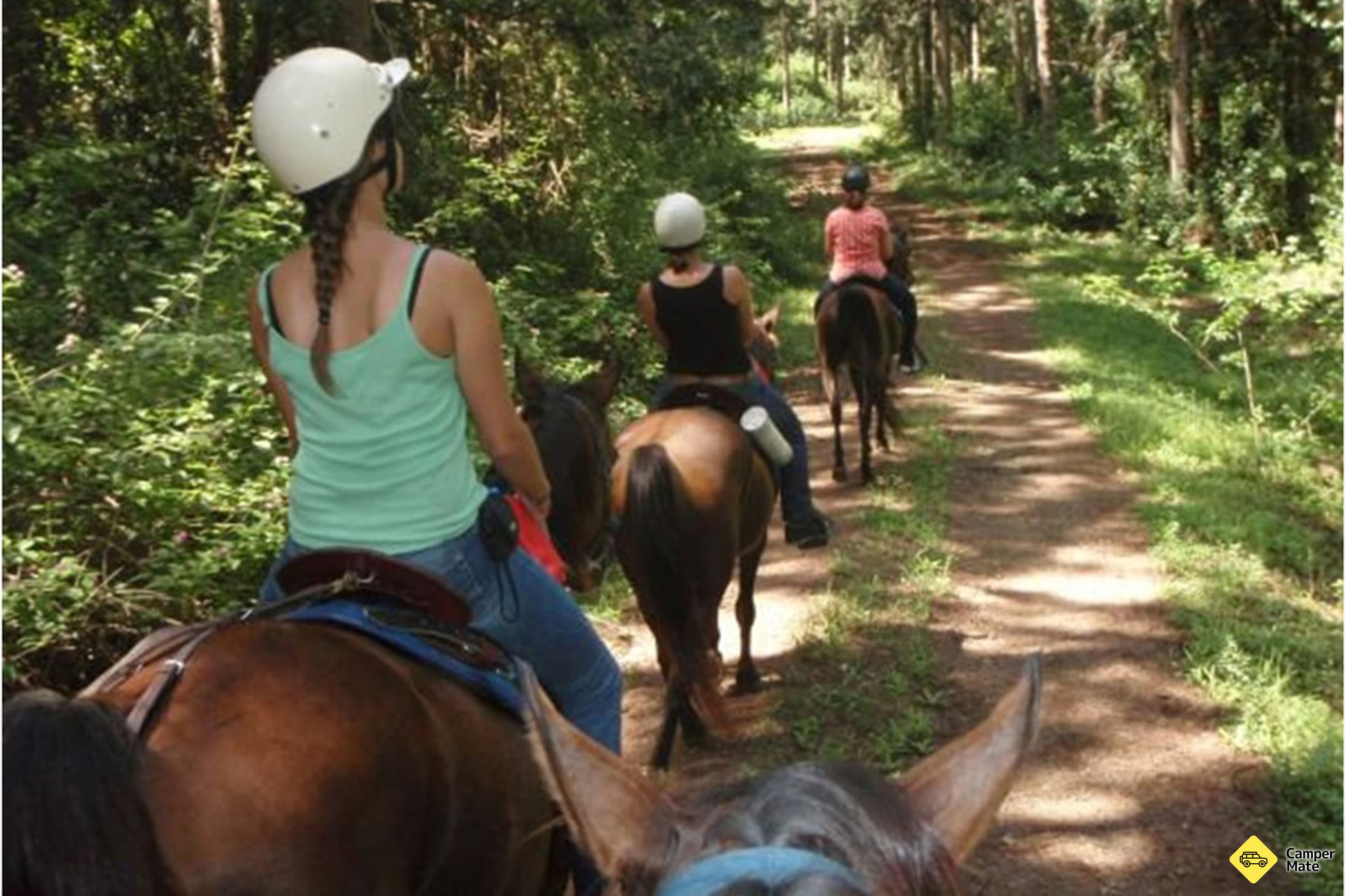 Atrakcje w pobliżu Mary Valley Adventure Trails - Guided Horse Riding