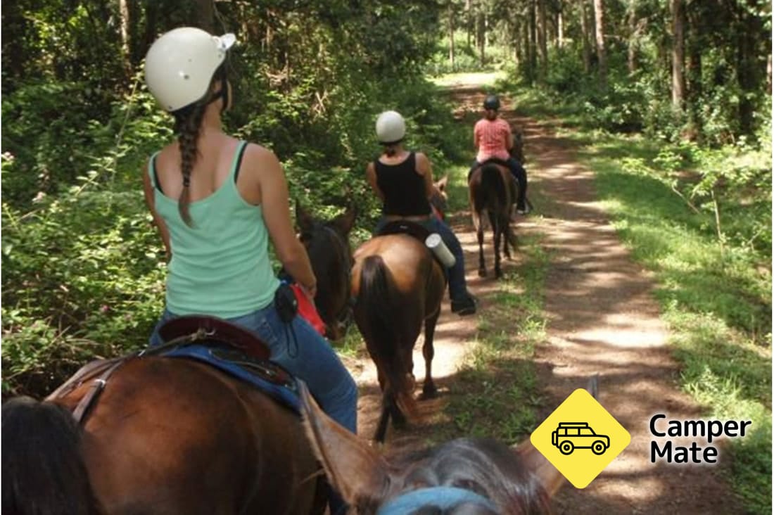 Mary Valley Adventure Trails - Guided Horse Riding