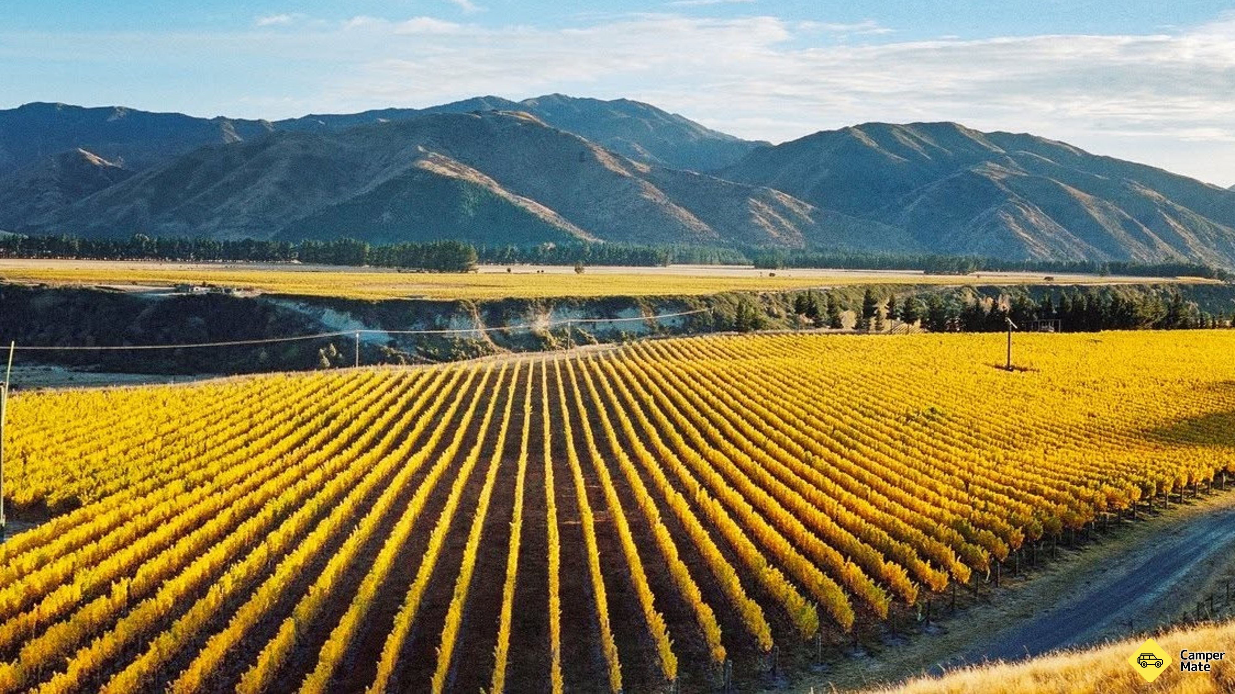 Tupari Wines