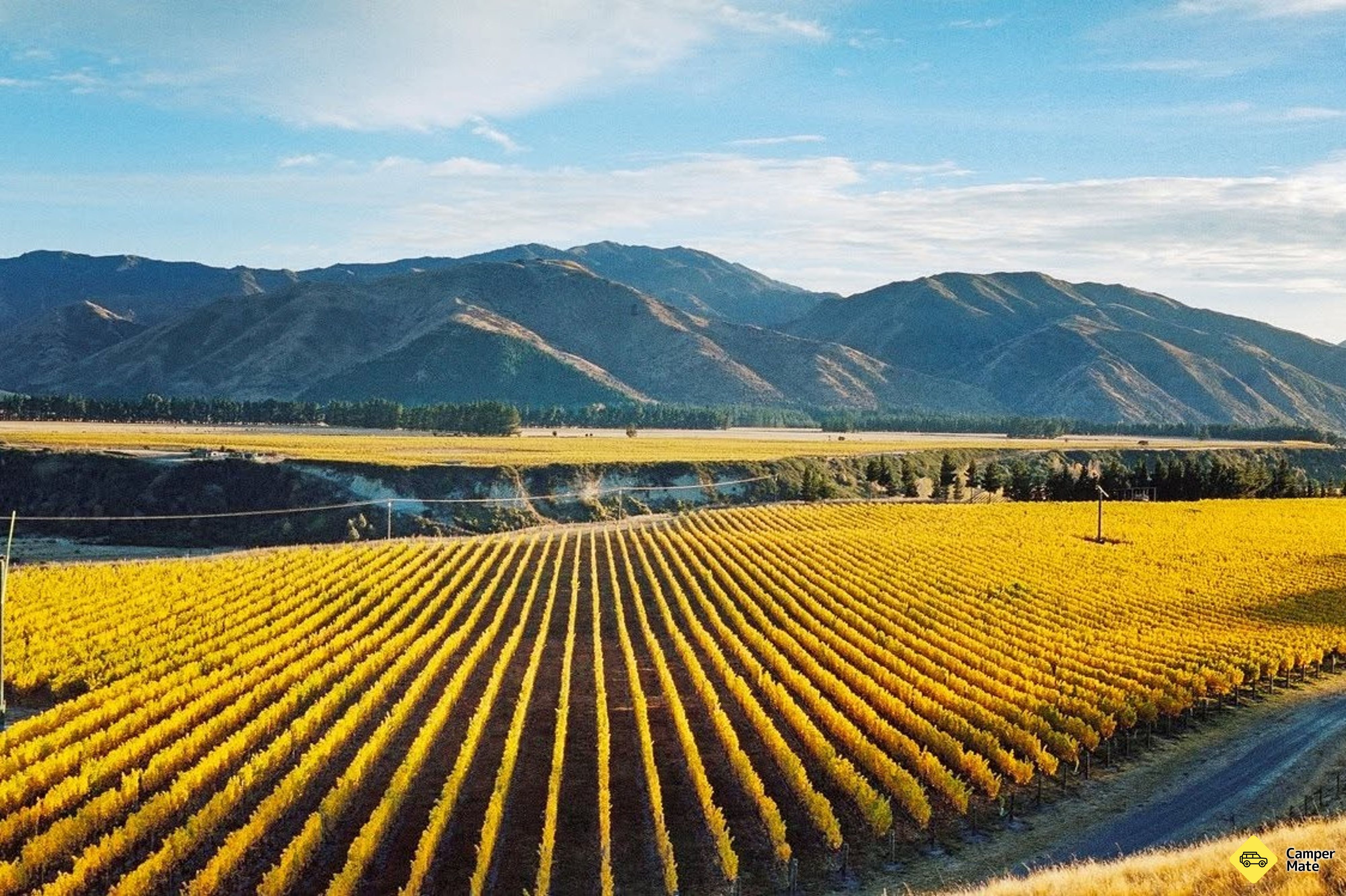 Tupari Wines