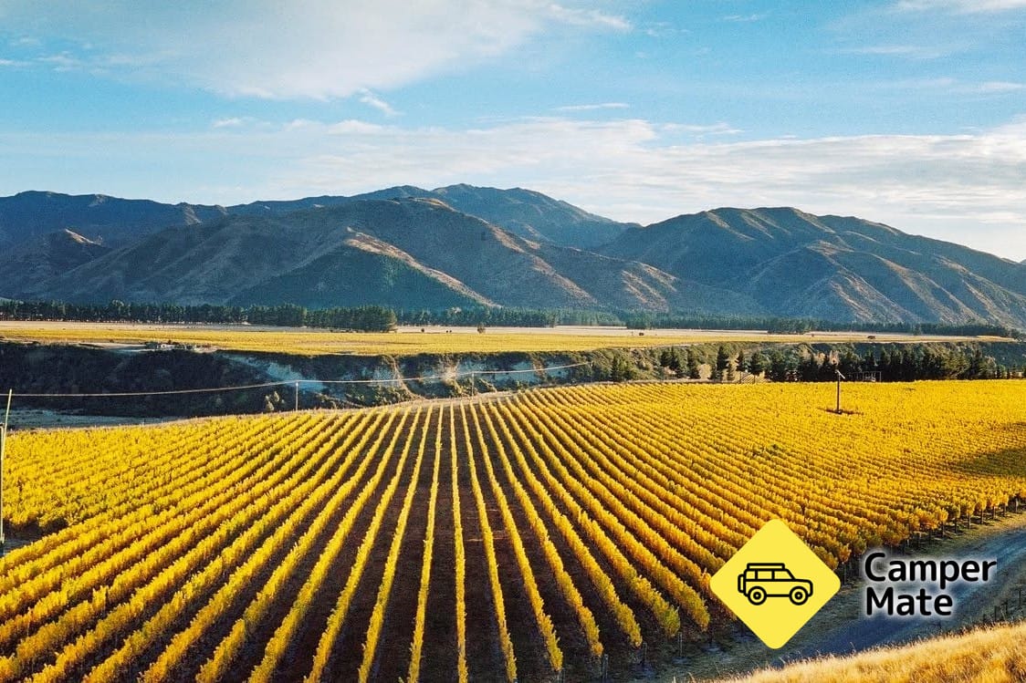 Tupari Wines