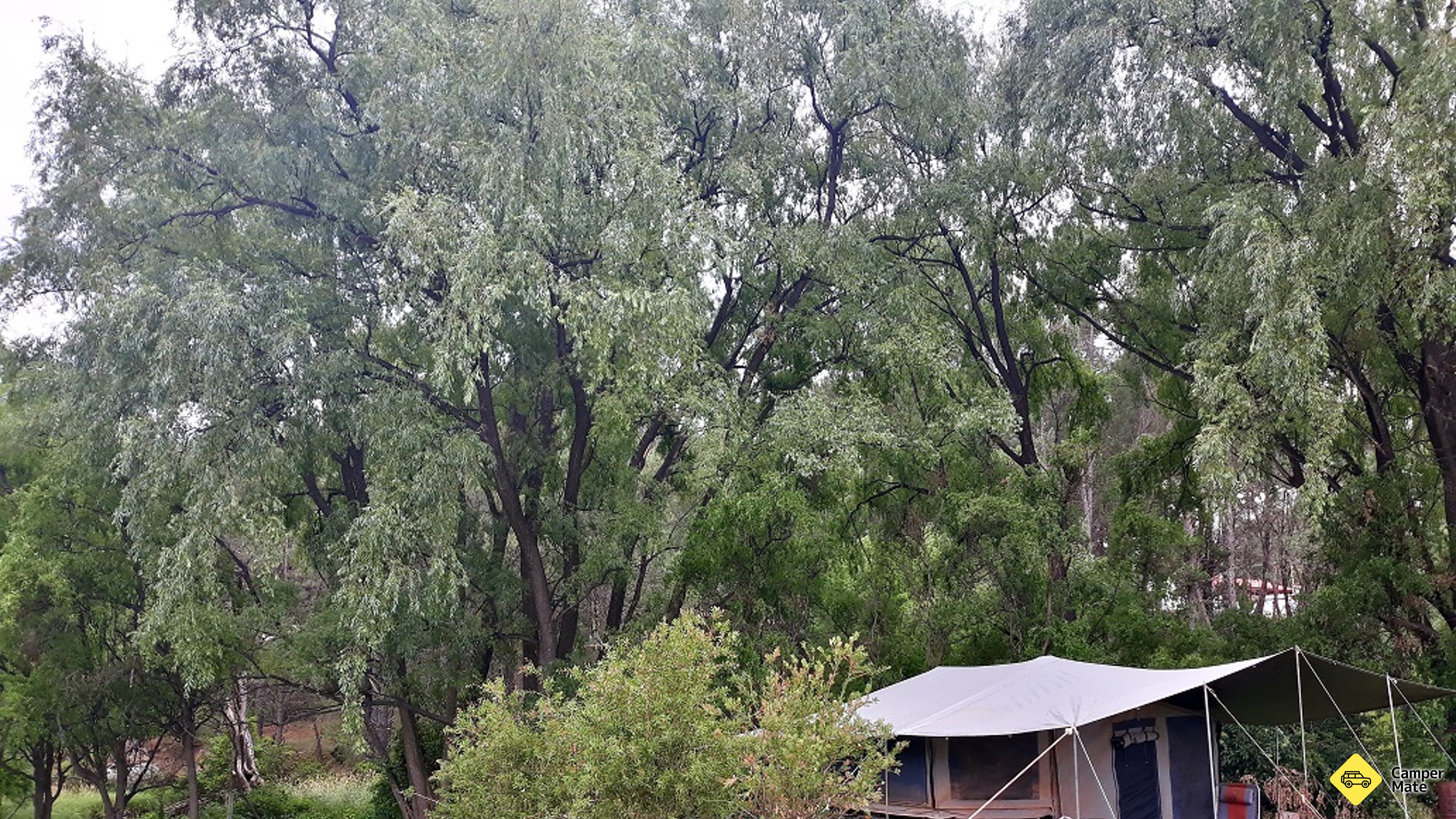 Hôtels près de Queen Street Uralla Caravan Park