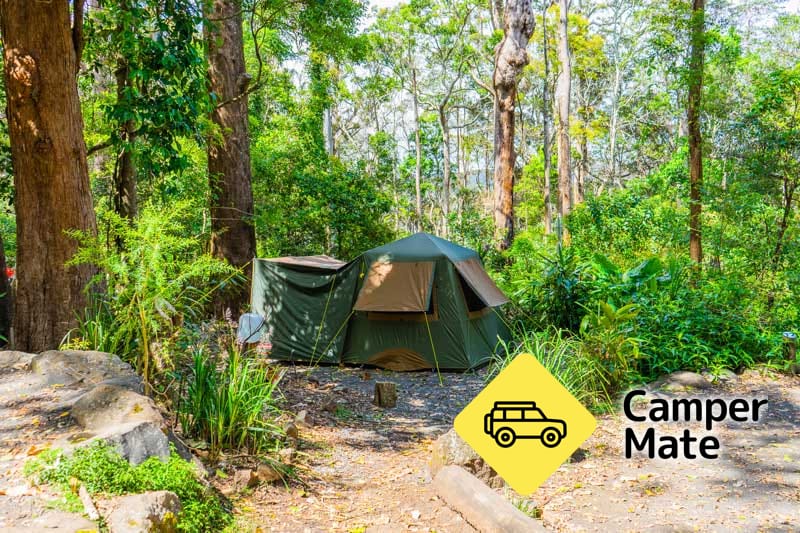 Binna Burra Lodge and Rainforest Campsite - Image 2