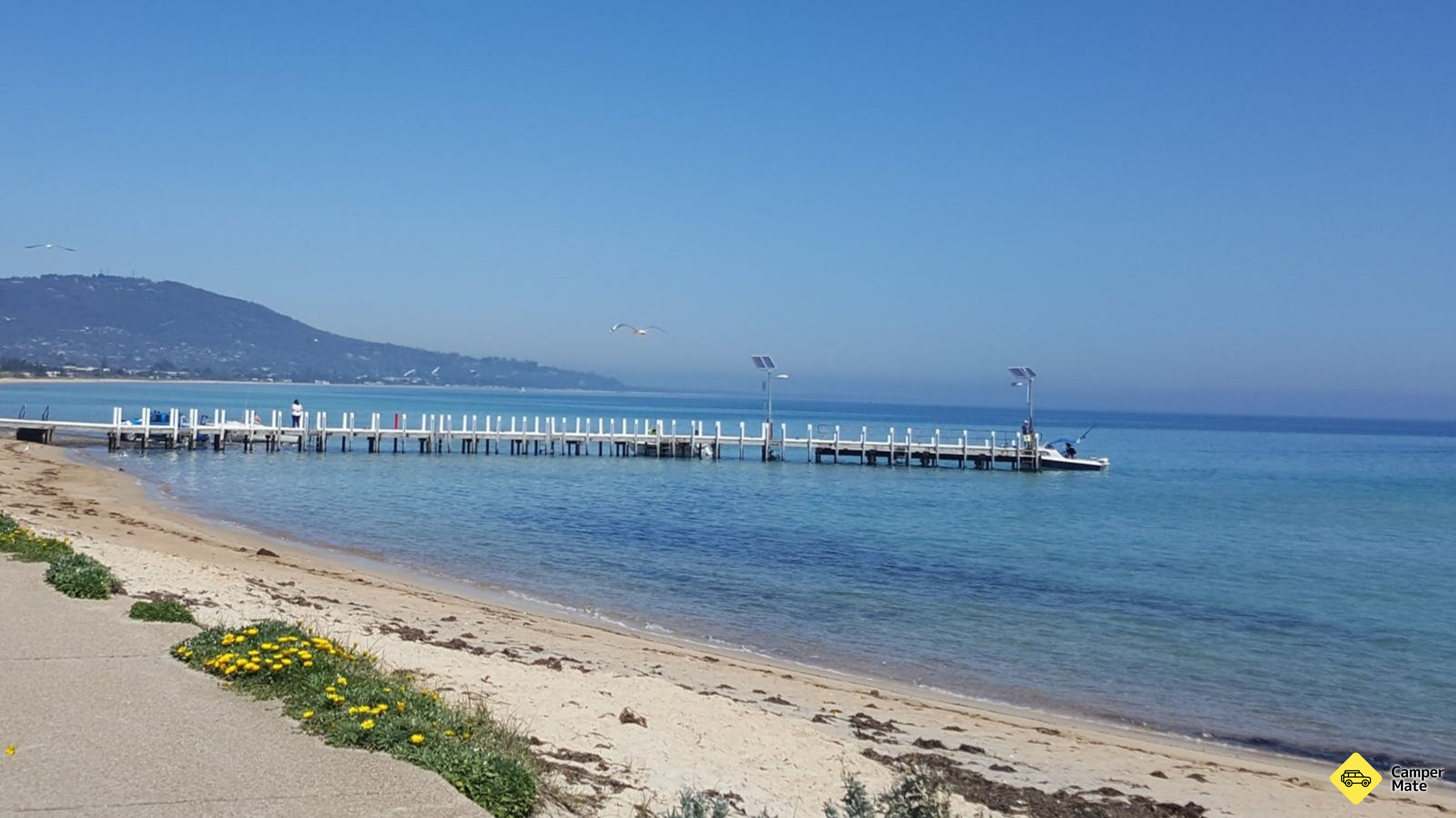 Safety Beach