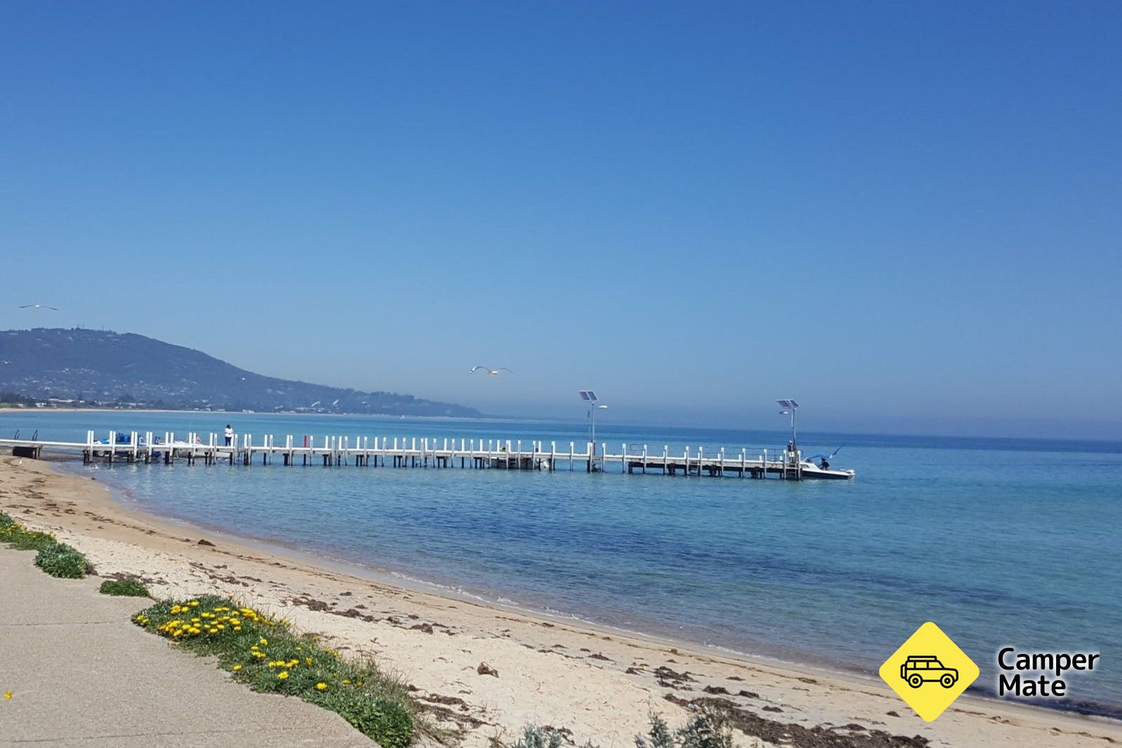 Safety Beach