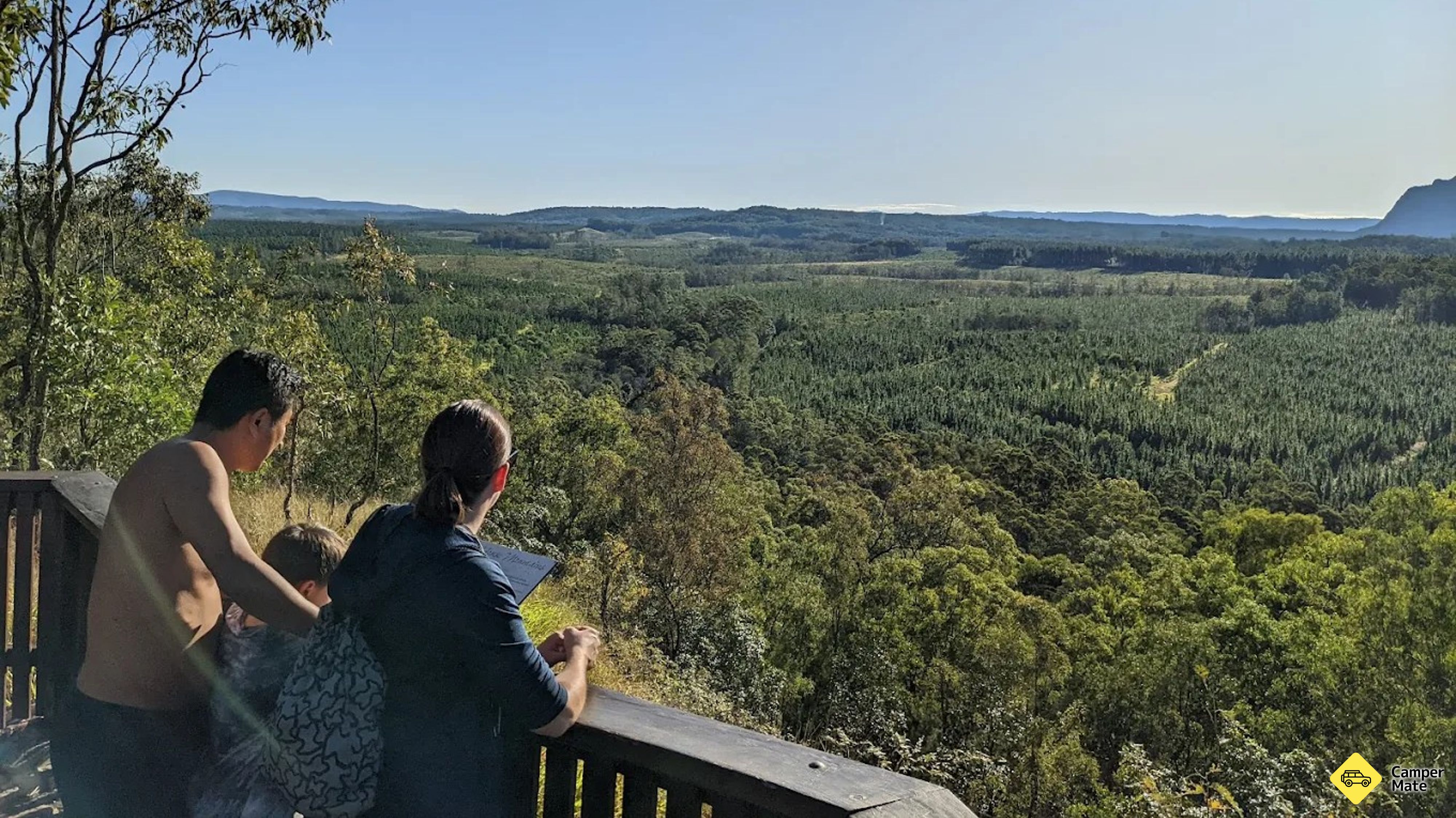Jack Ferris Lookout