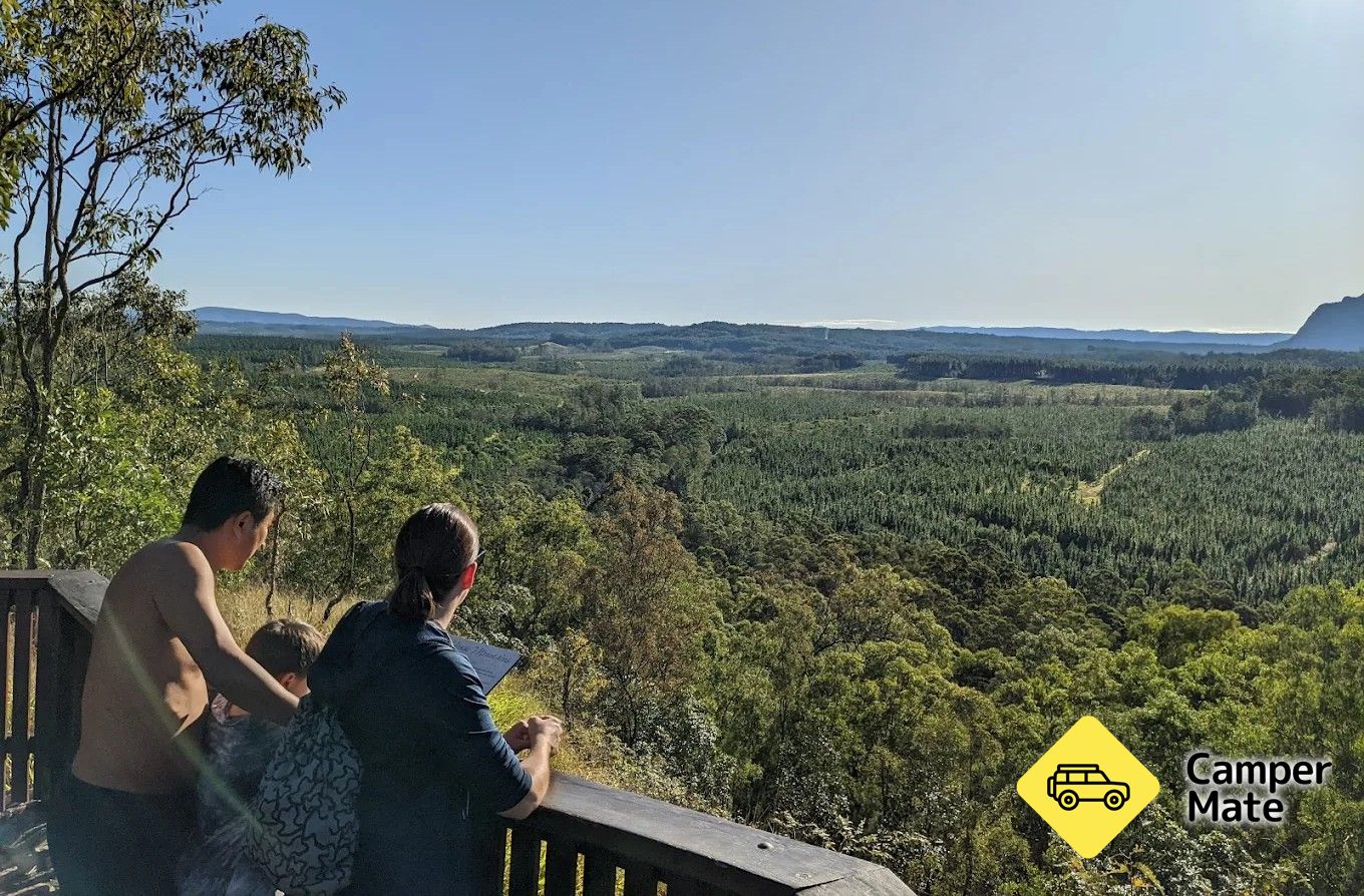 Jack Ferris Lookout