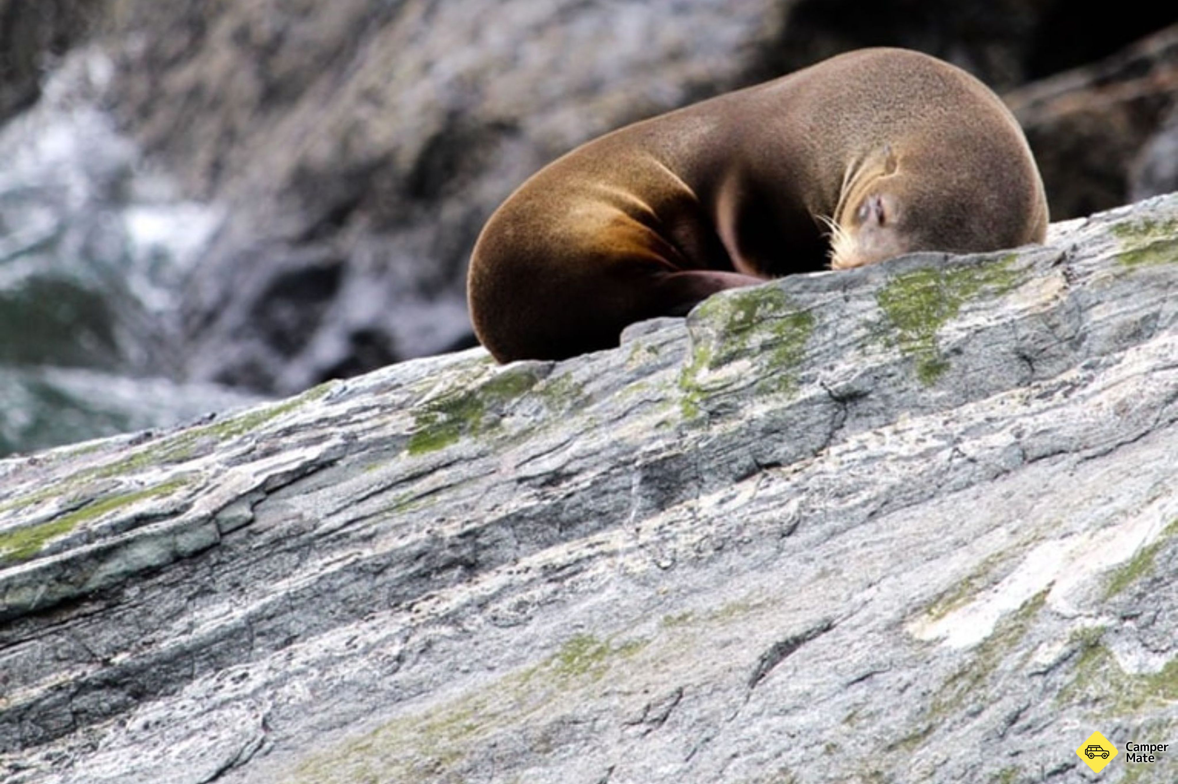 Aktivitäten in der Nähe von Milford Sound ex Te Anau - Image 3
