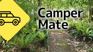 Rimu Walk - Image 3