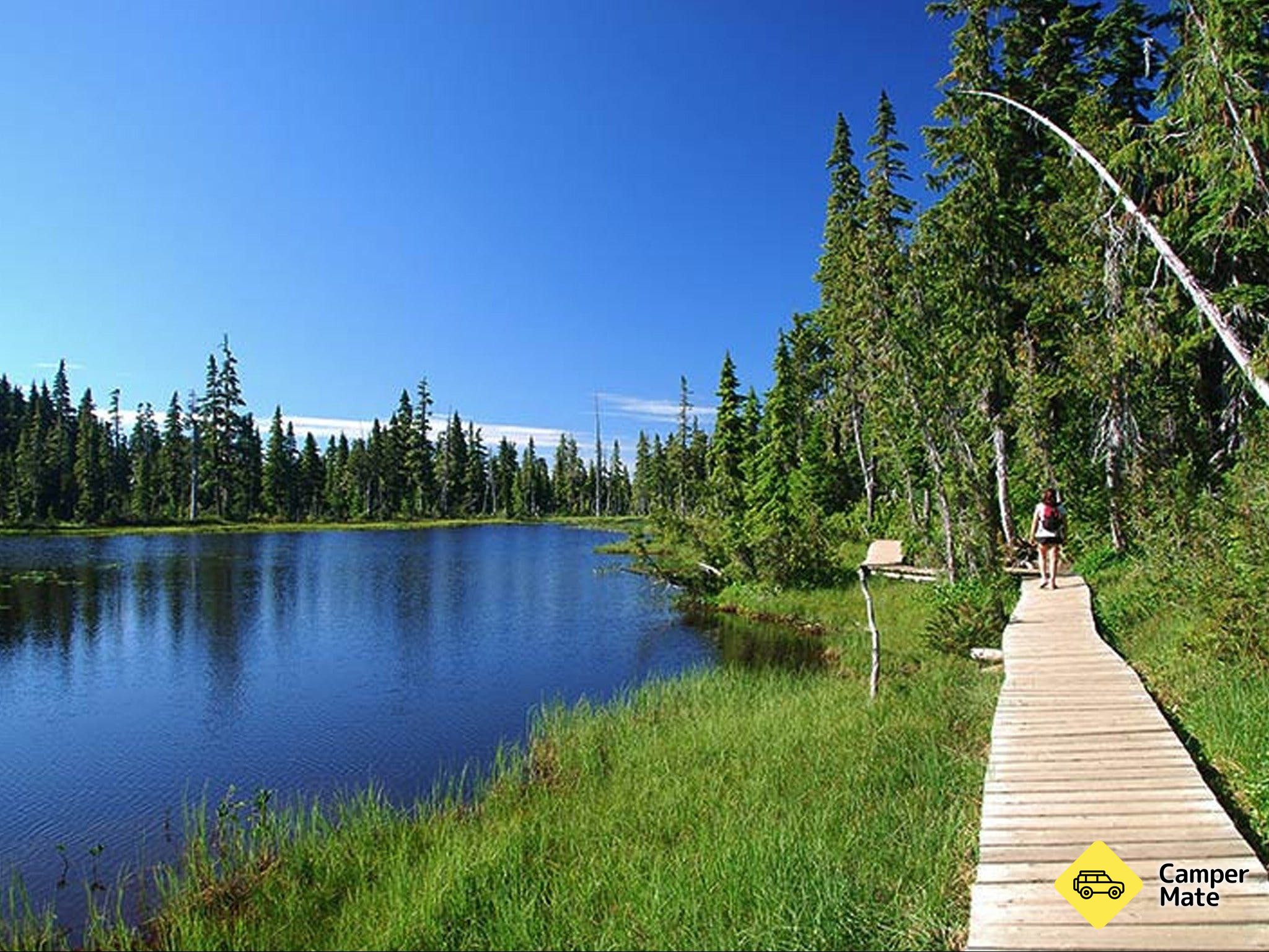 Mackenzie Park - Image 2