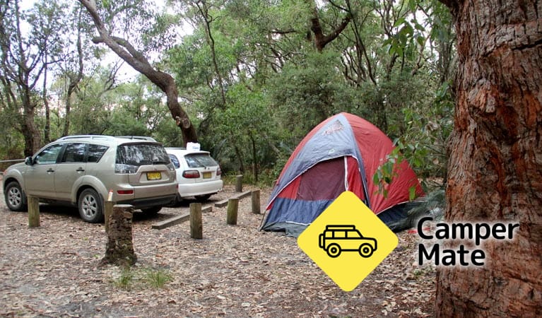 Aragunnu Campground - Image 2
