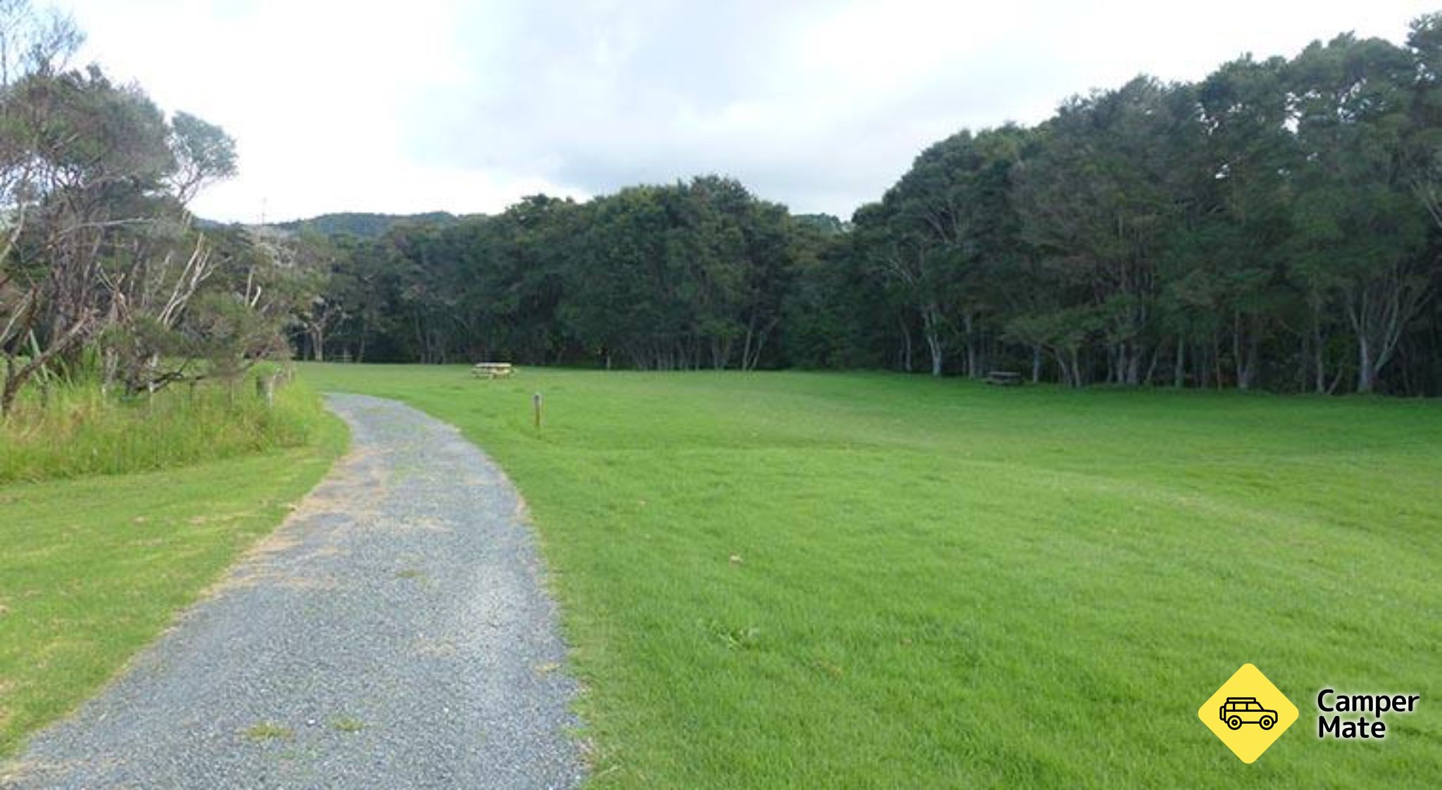 Blackberry Flats Campground - Image 3