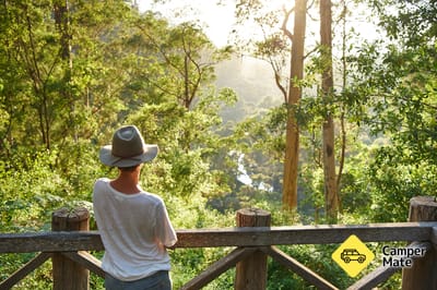 Warren River Lookout