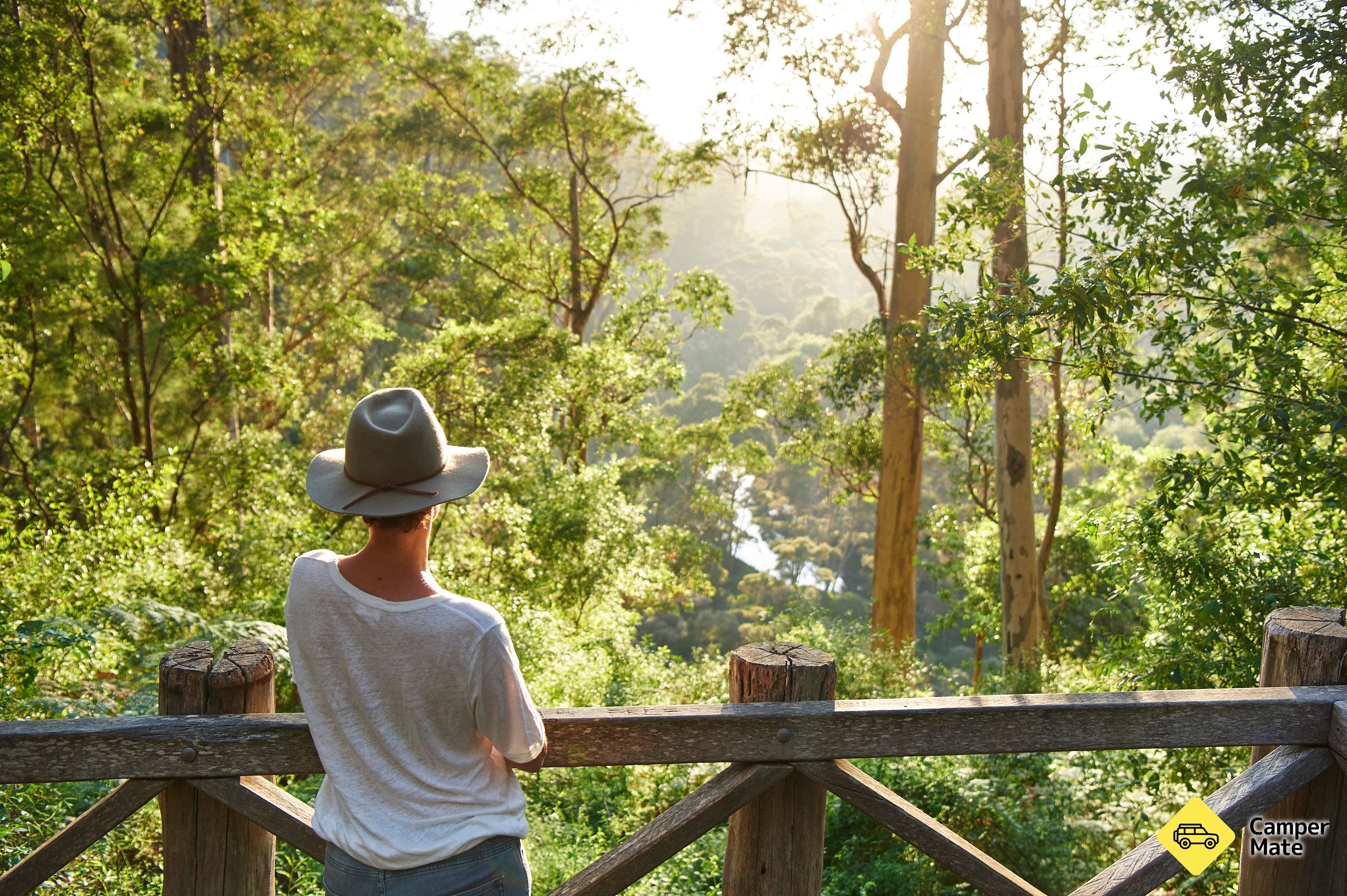 Anmeldelse af Warren River Lookout