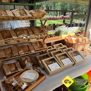 The Green Shed Market