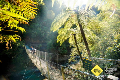 Pakihi Track