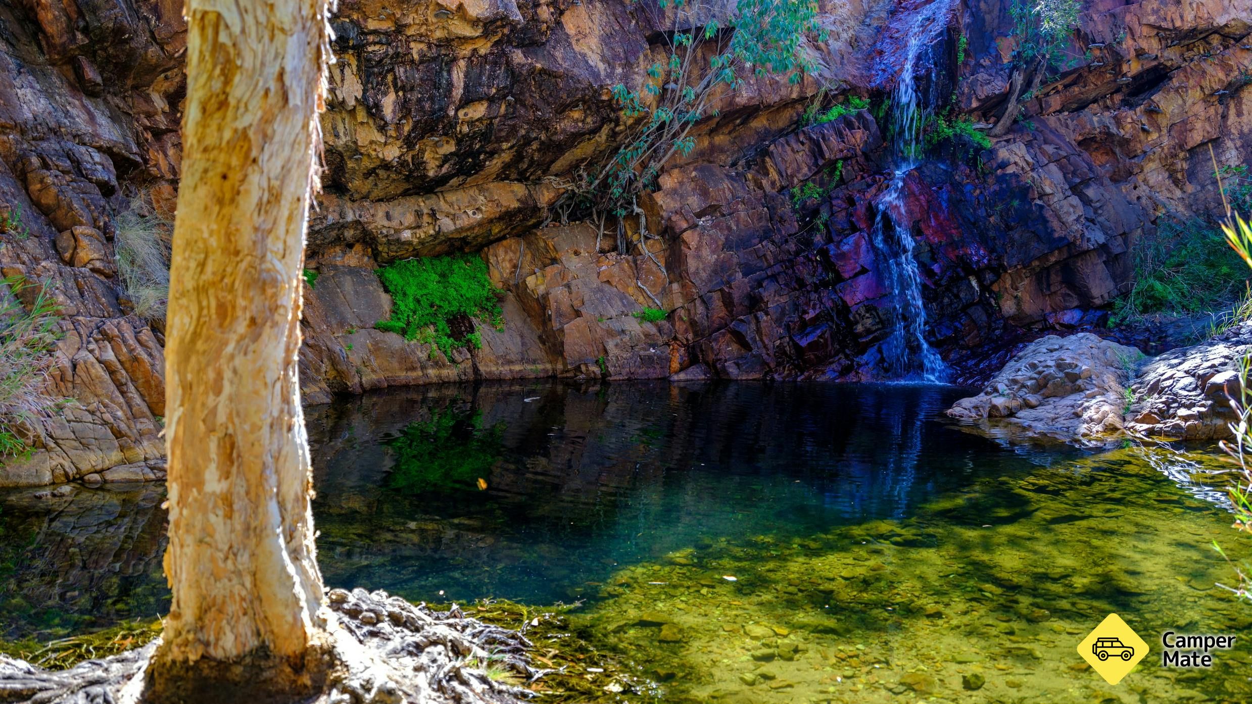 Molly Springs Kununurra
