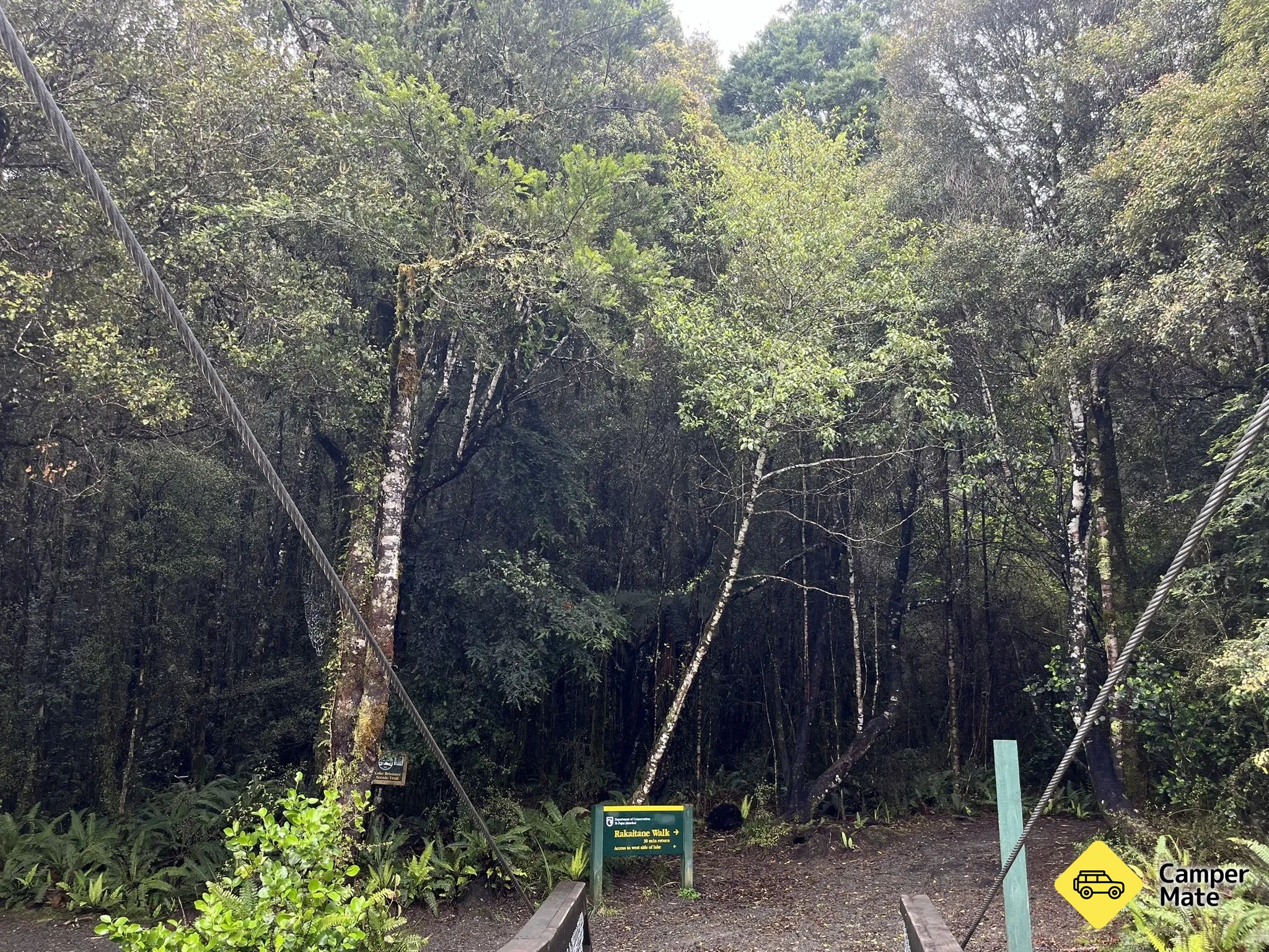 Rakaitane Track - Image 2