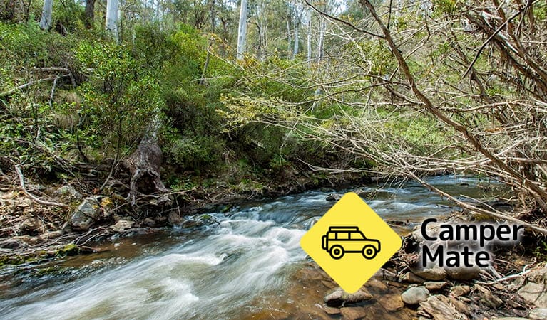 Buddong Falls Campground - Image 2