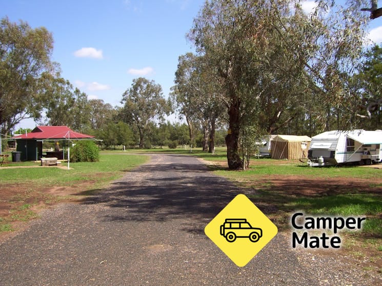 Dunedoo Caravan Park