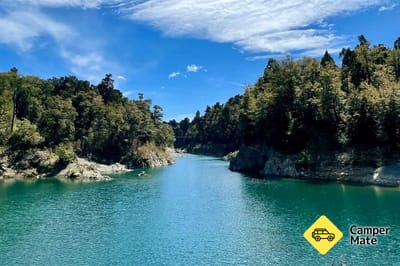 Totara Walk
