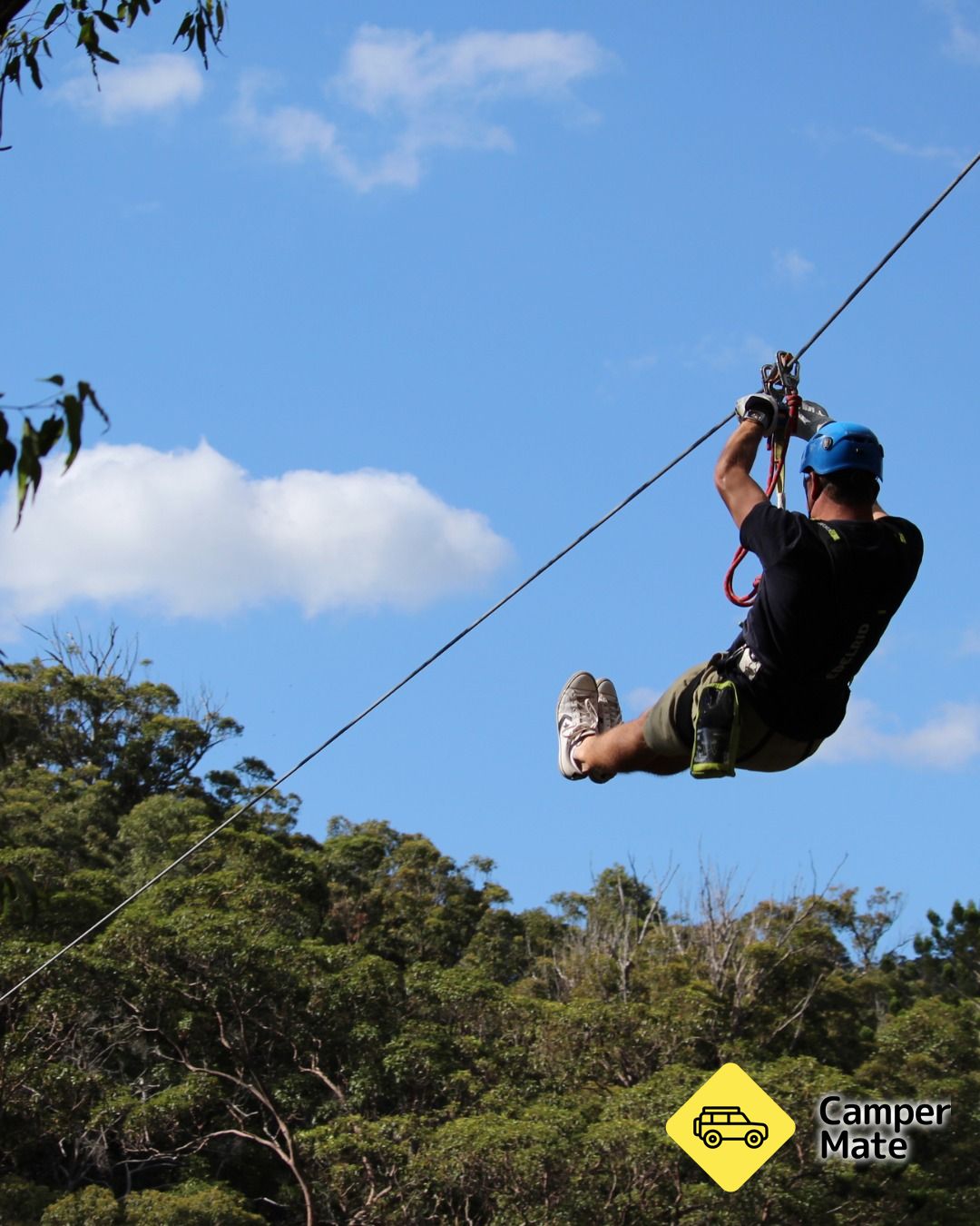 Der Thunderbird Park - Image 2