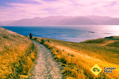 Kaikoura Peninsula Walkway