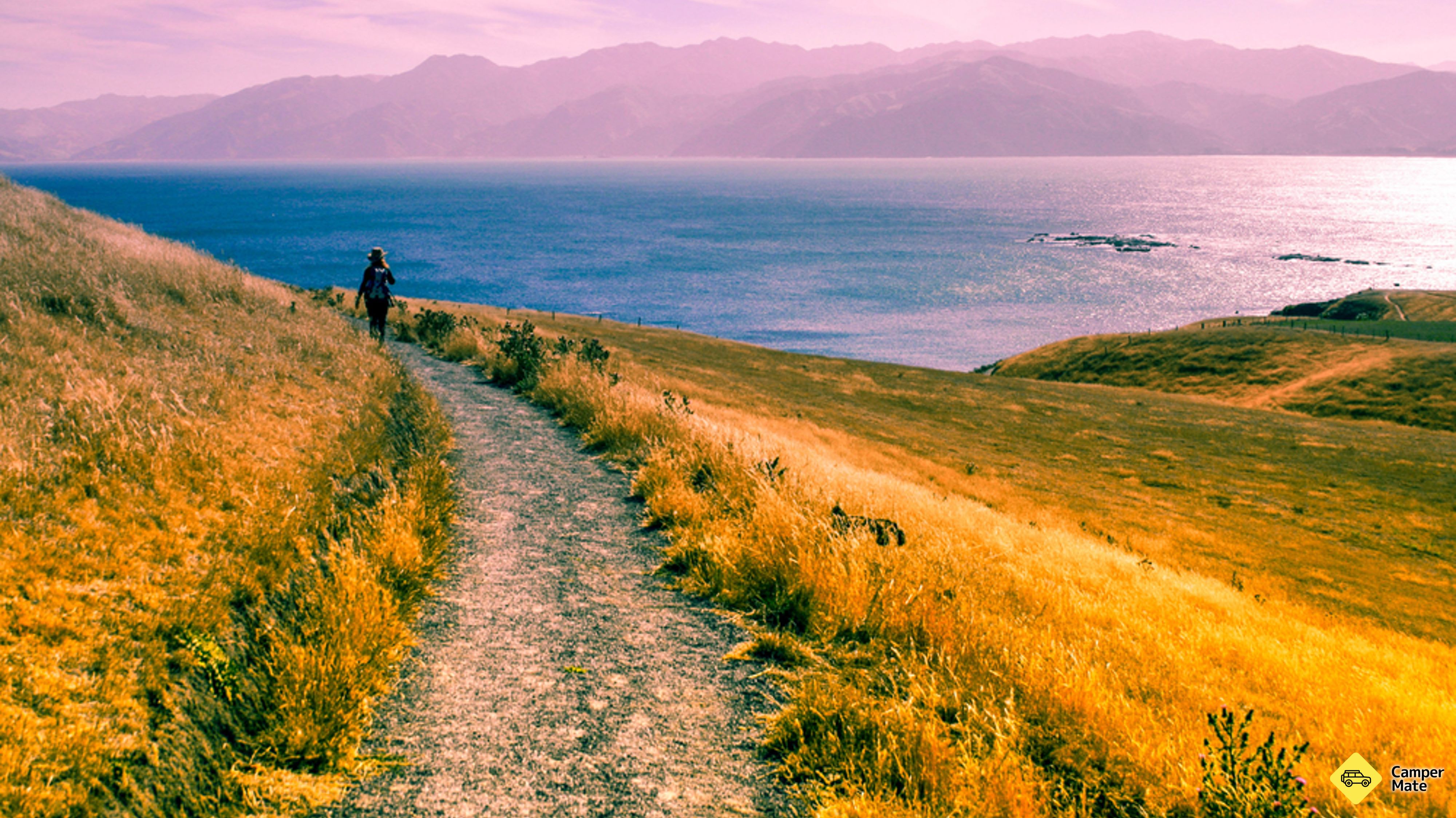 Kaikoura félszigeti sétány