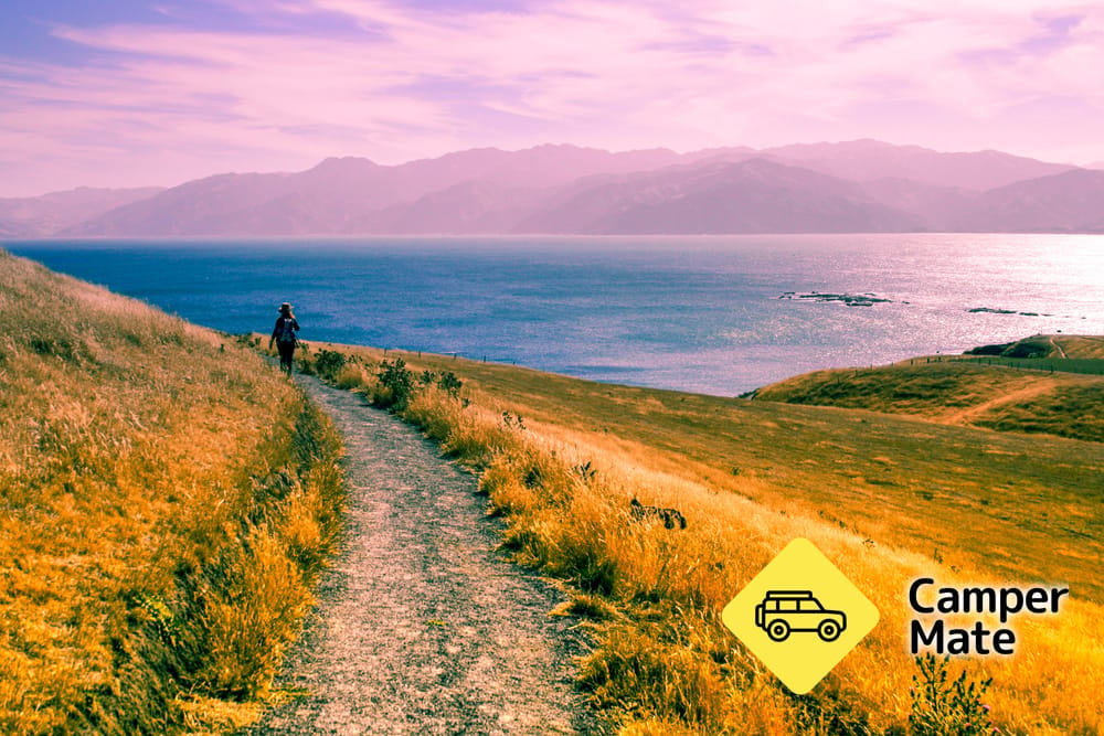 Kaikoura Peninsula Walkway