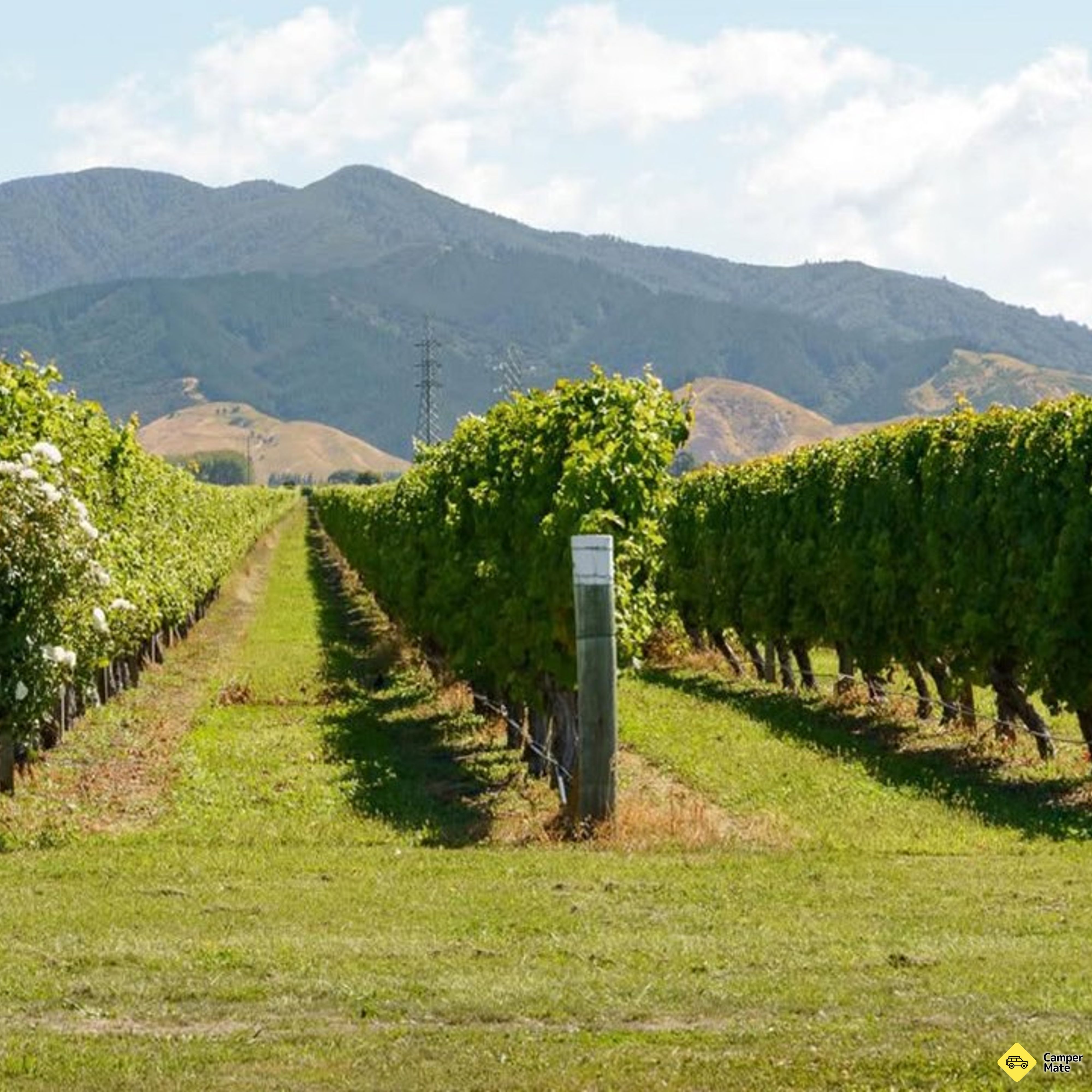 Cloudy Bay Winery