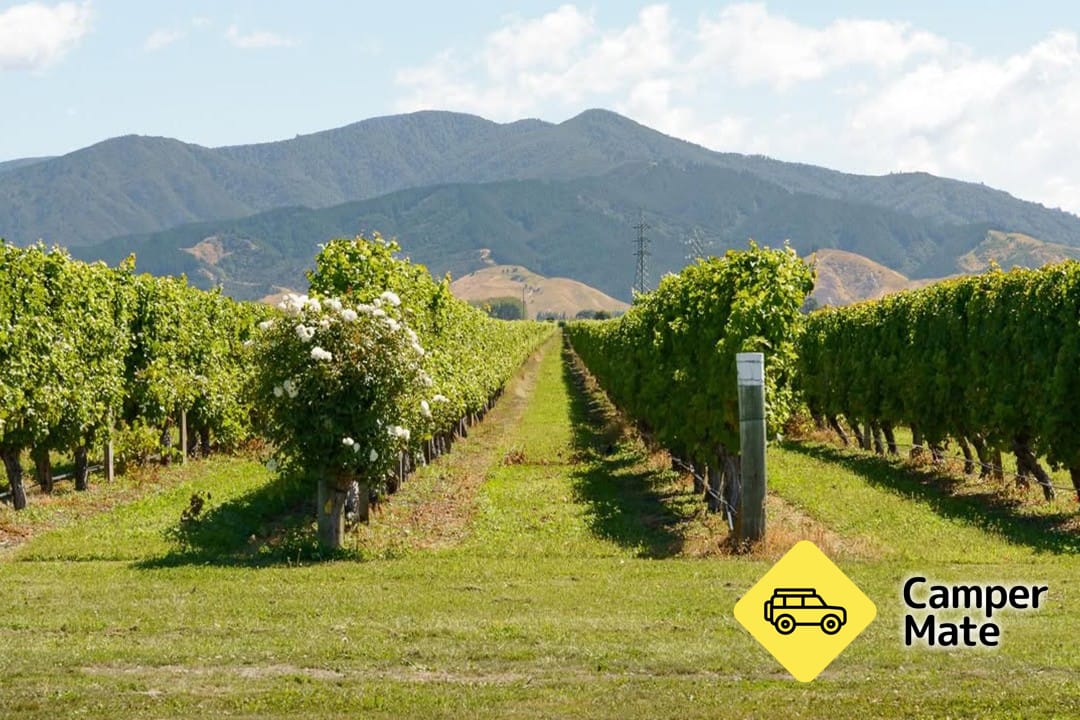 Cloudy Bay Winery