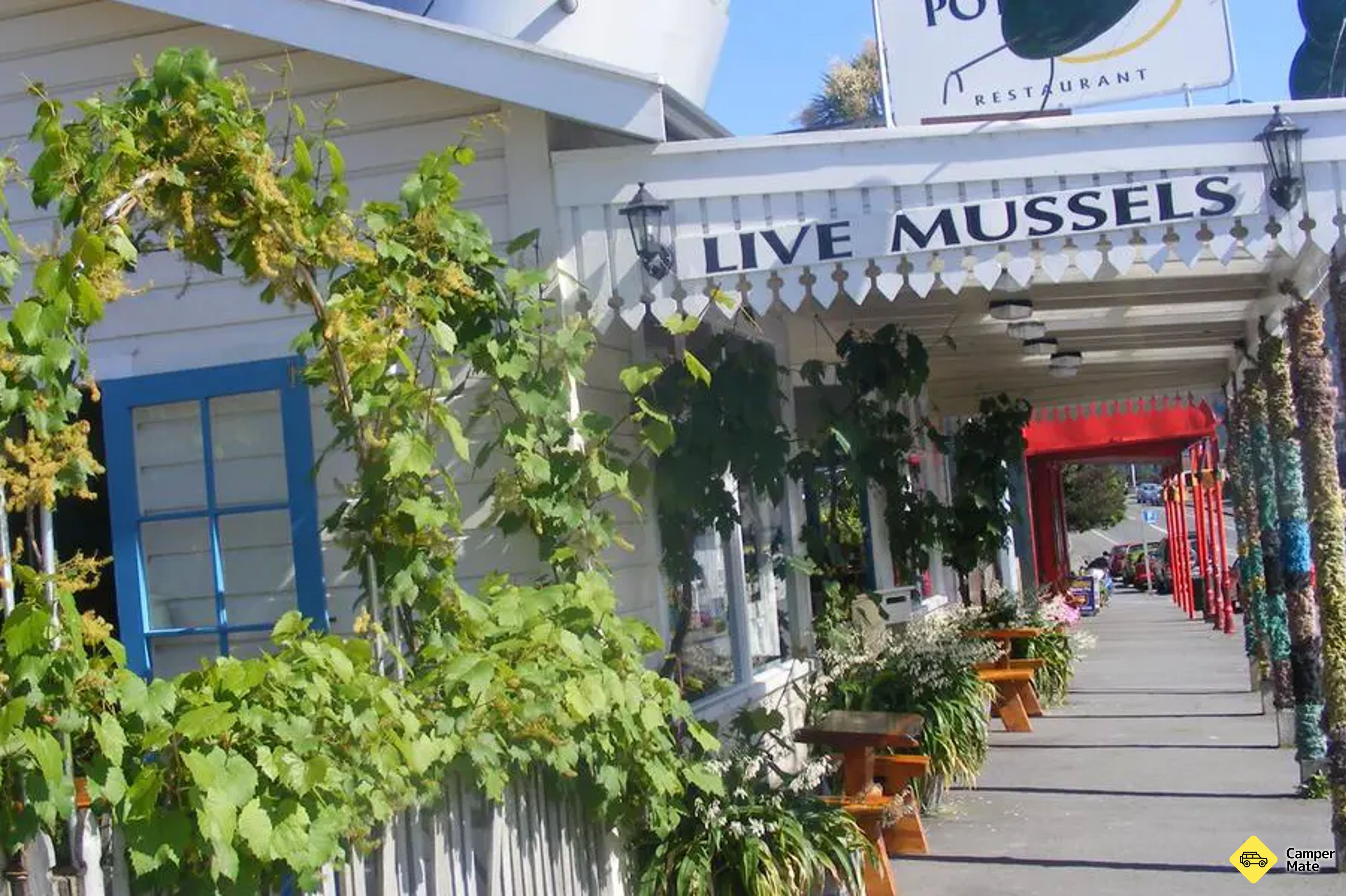The Mussel Pot - Image 2