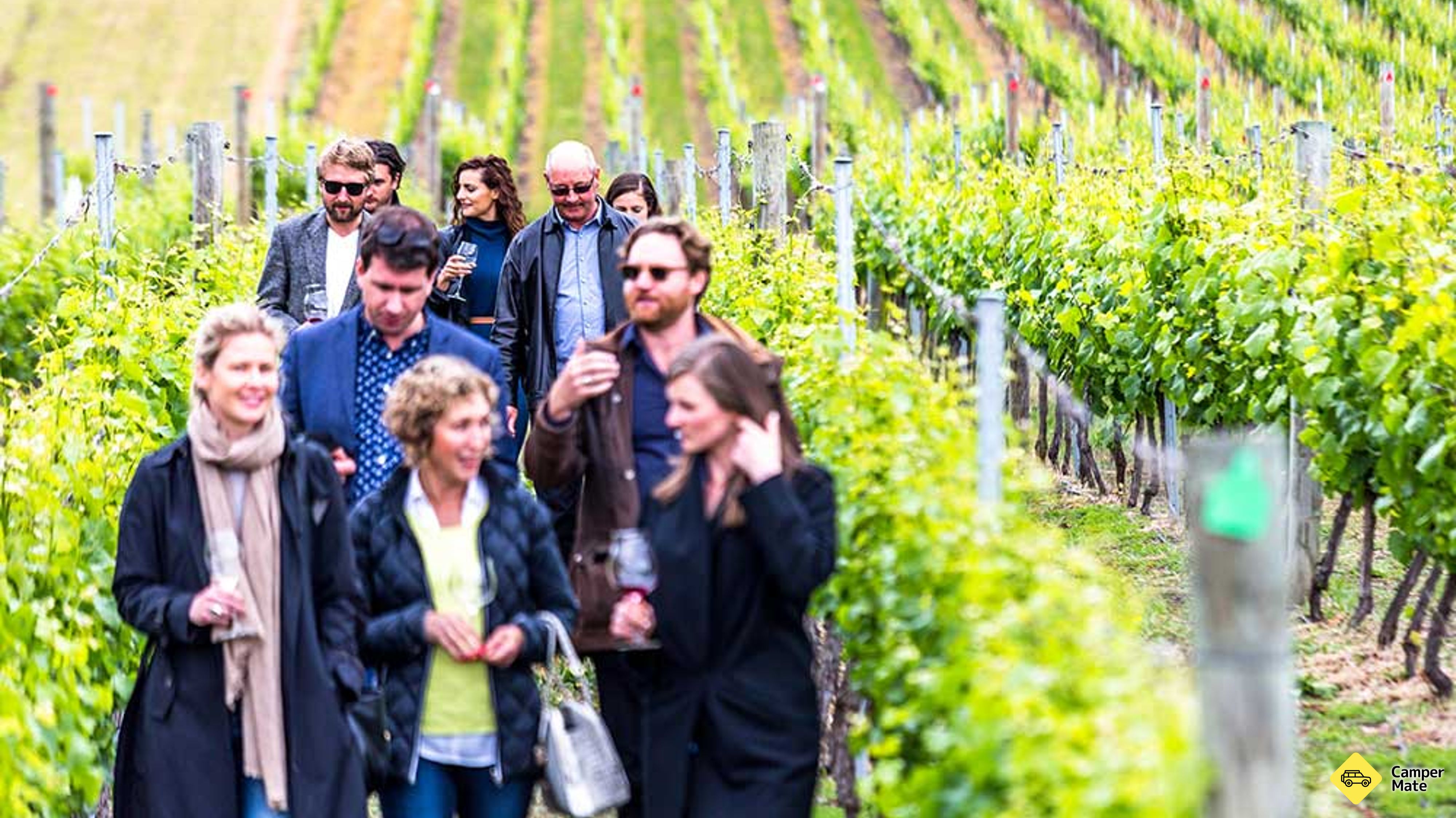 Southern Tasmania Full Day Wine Tasting Tour